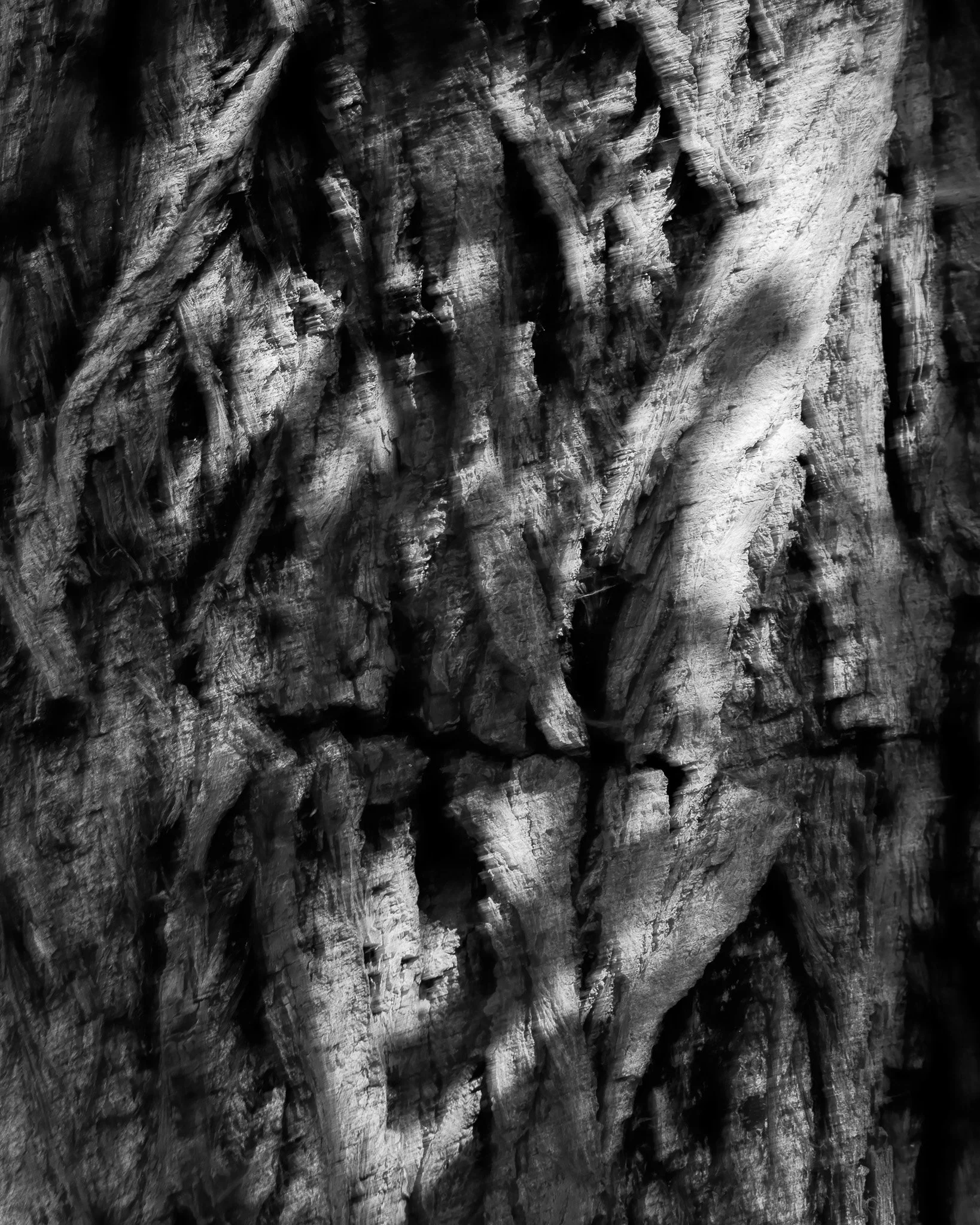 Black-and-white close-up of a rugged, textured cave rock wall with jagged formations