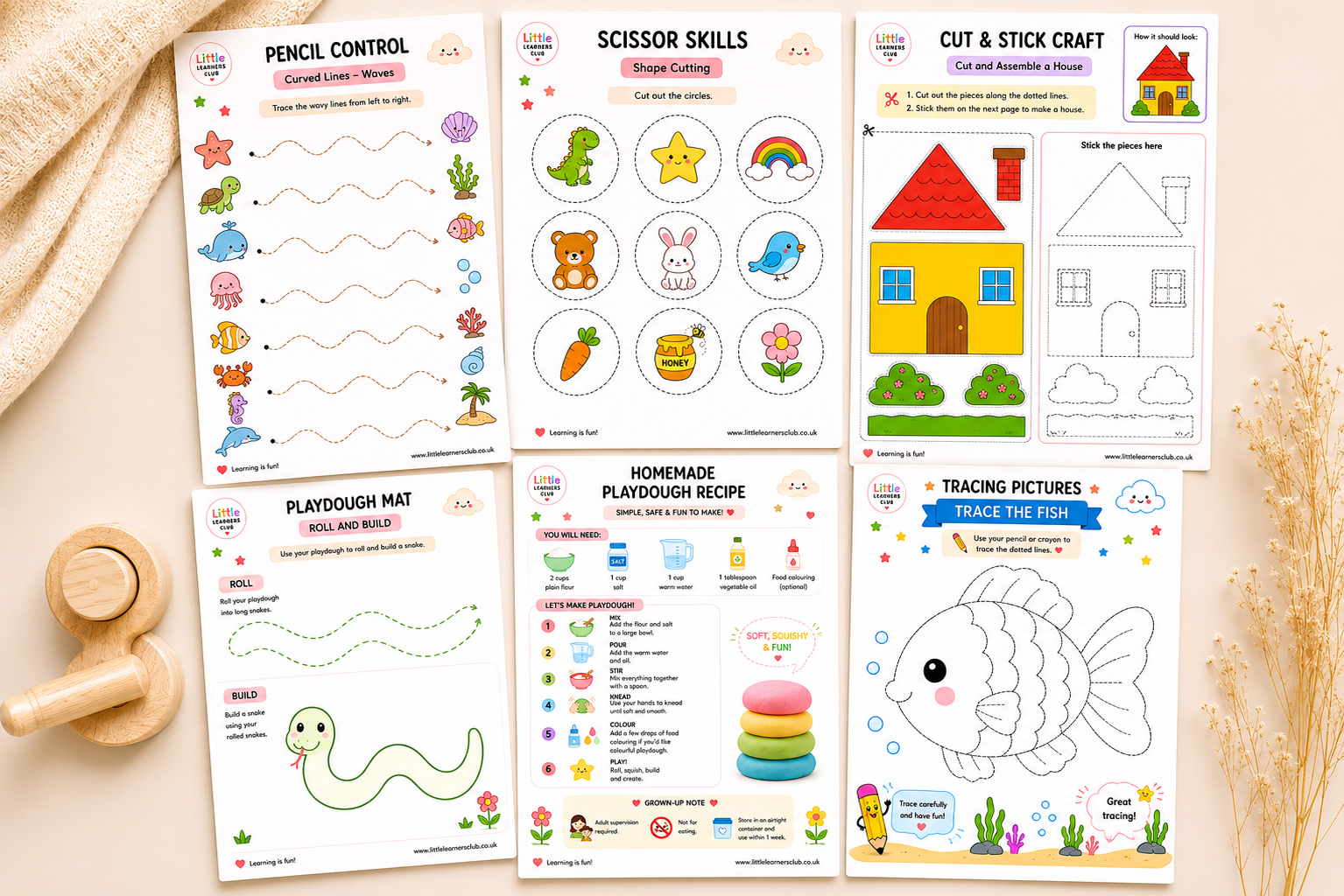 Fine Motor Skills