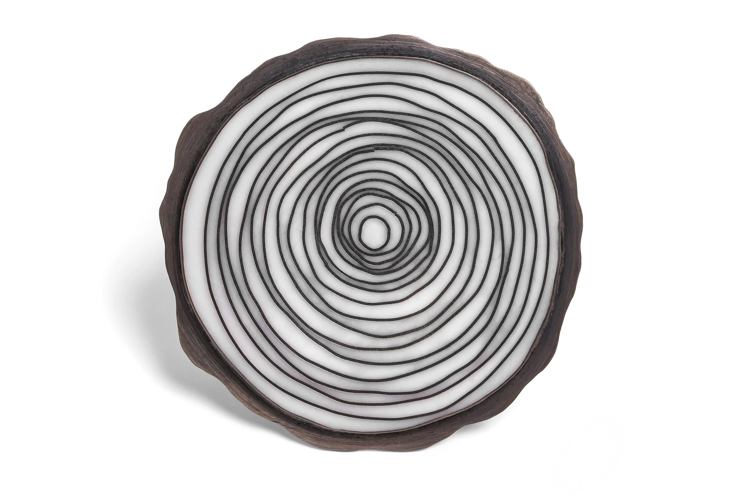 Close-up of a sliced tree trunk showing concentric growth rings.
