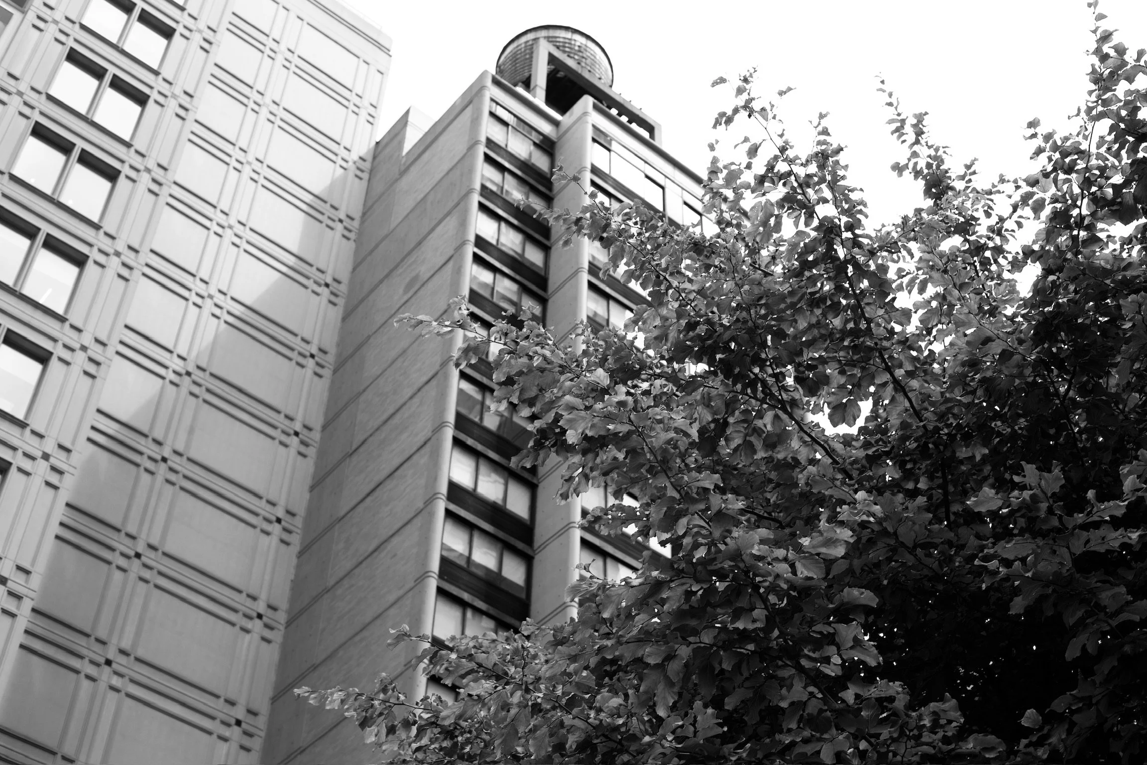 a black and white image of New York buildings