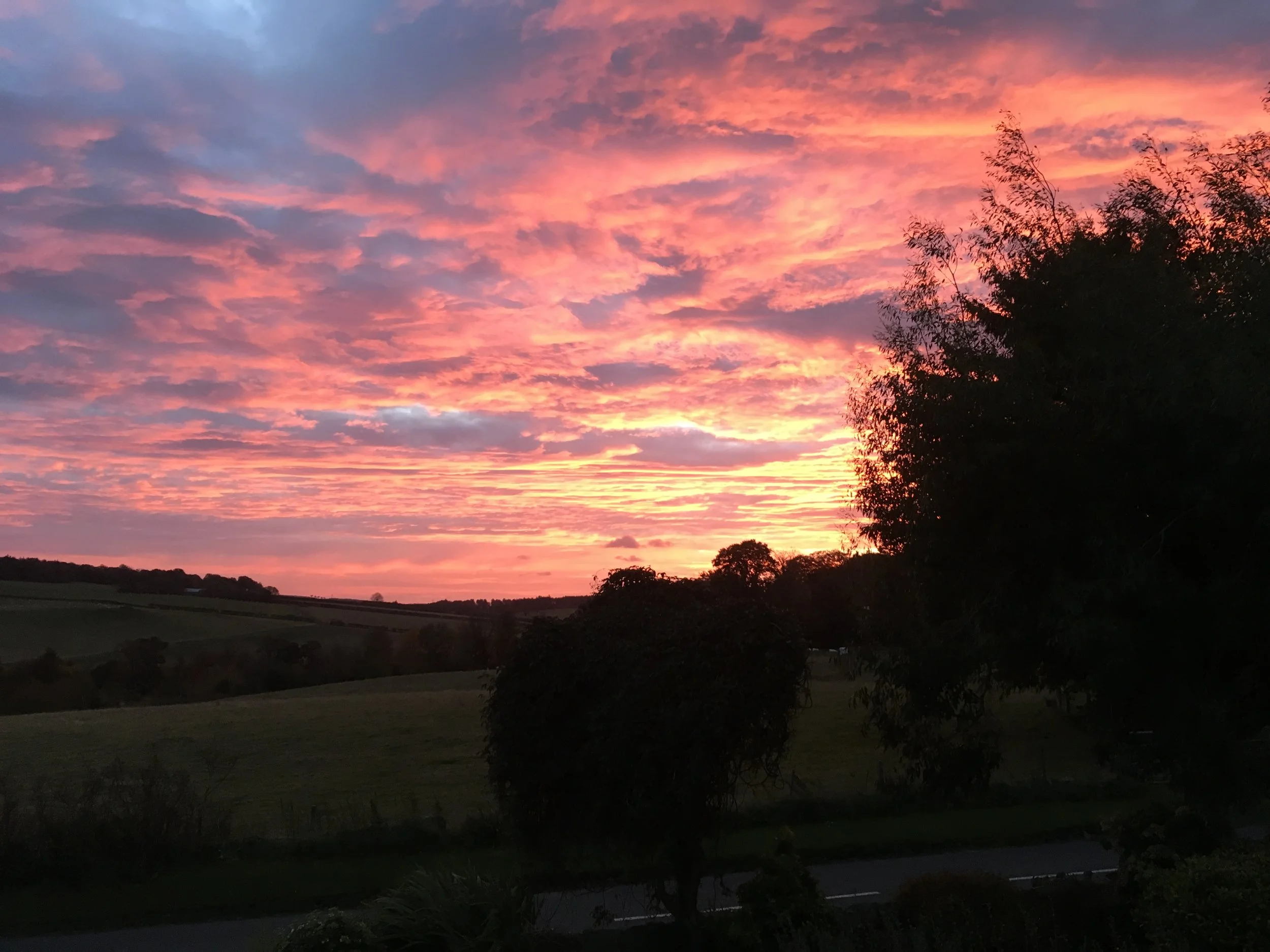 A colorful sunset sky with pink, purple, and orange clouds over a landscape with trees and open fields.