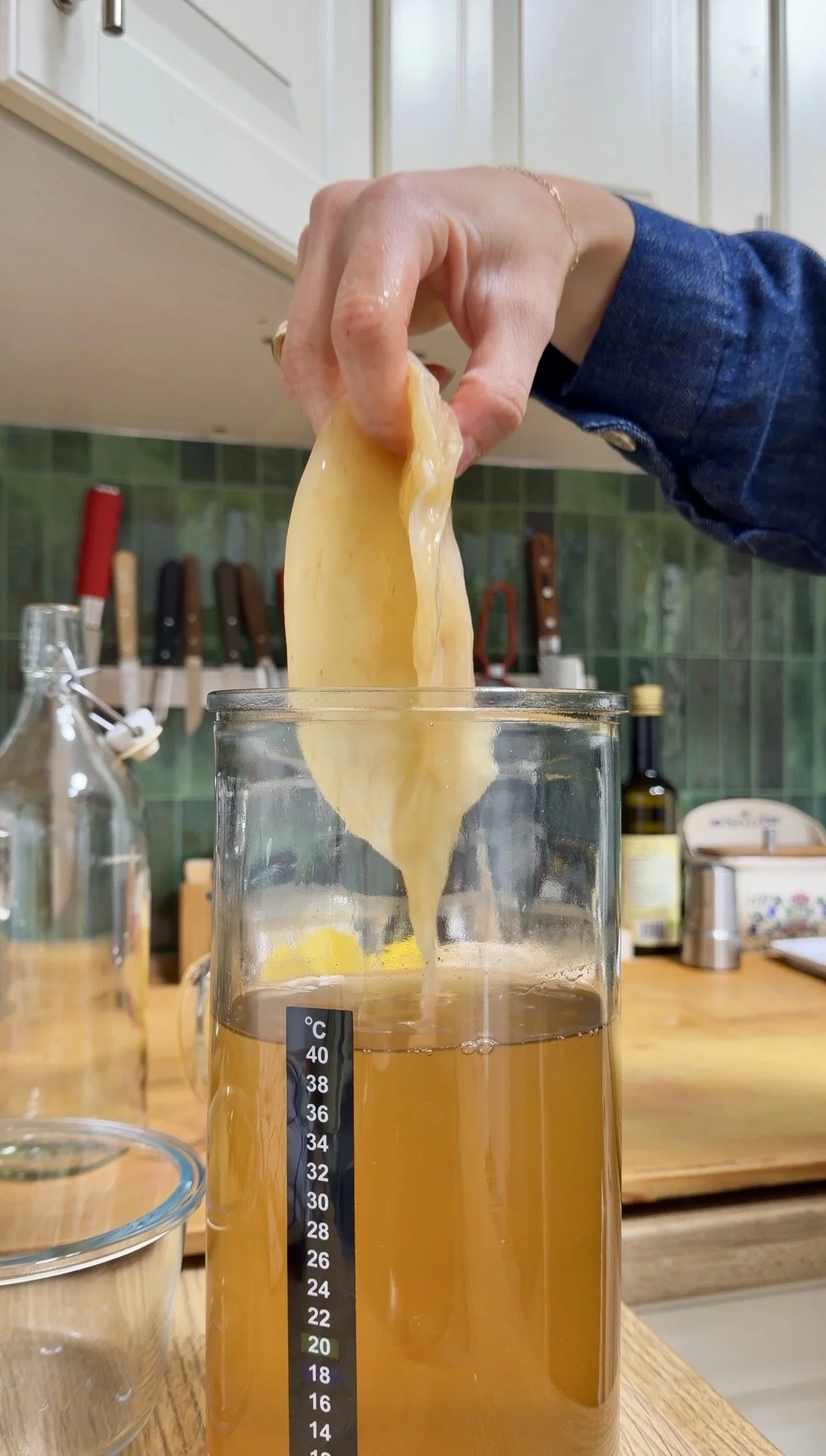 A hand holding a piece of cheese being dipped into a jar of beer. The beer shows a temperature of around 20°C. In the background, a green-tiled kitchen with various knives and bottles on the counter.