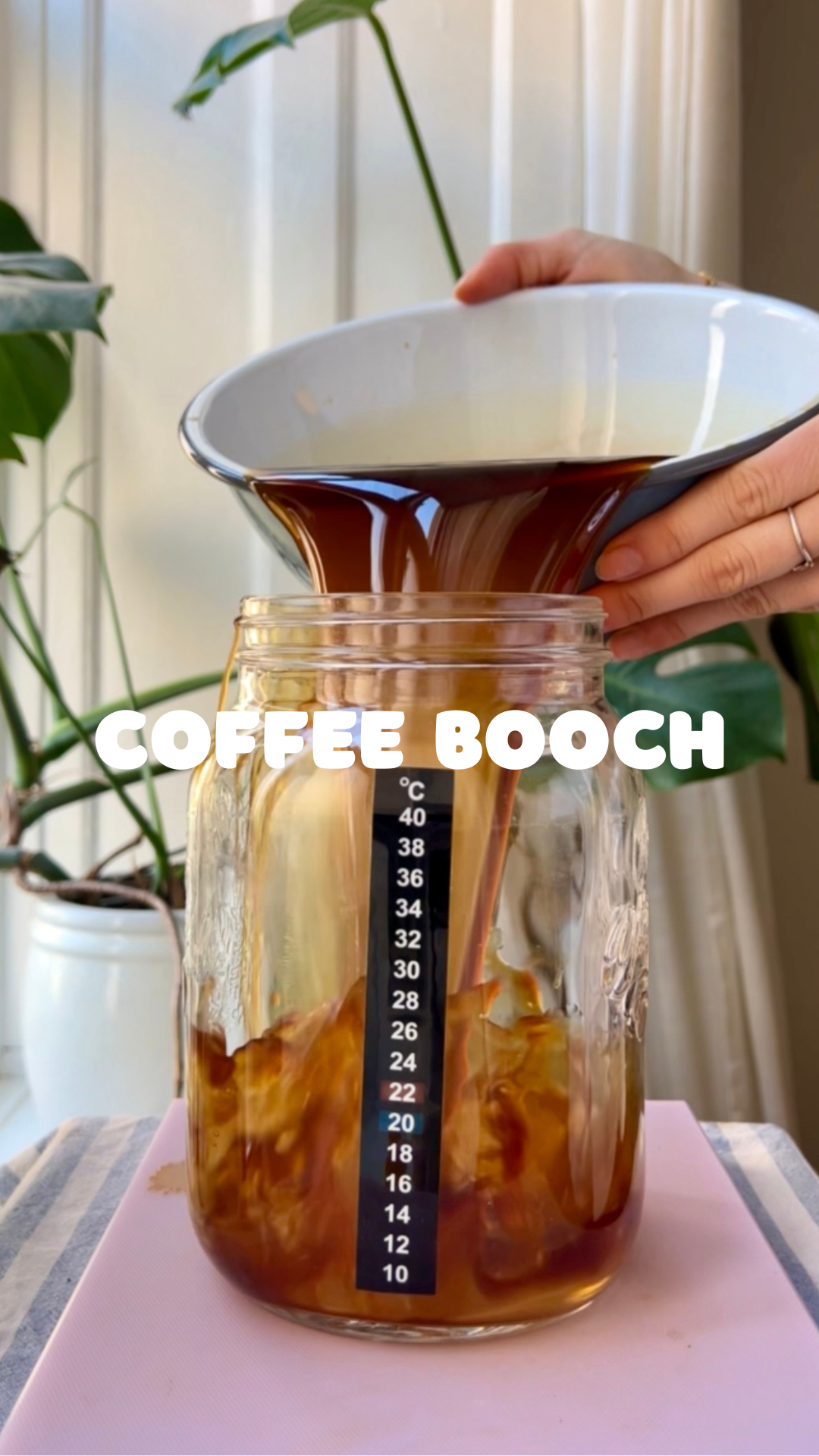 Coffee Booch