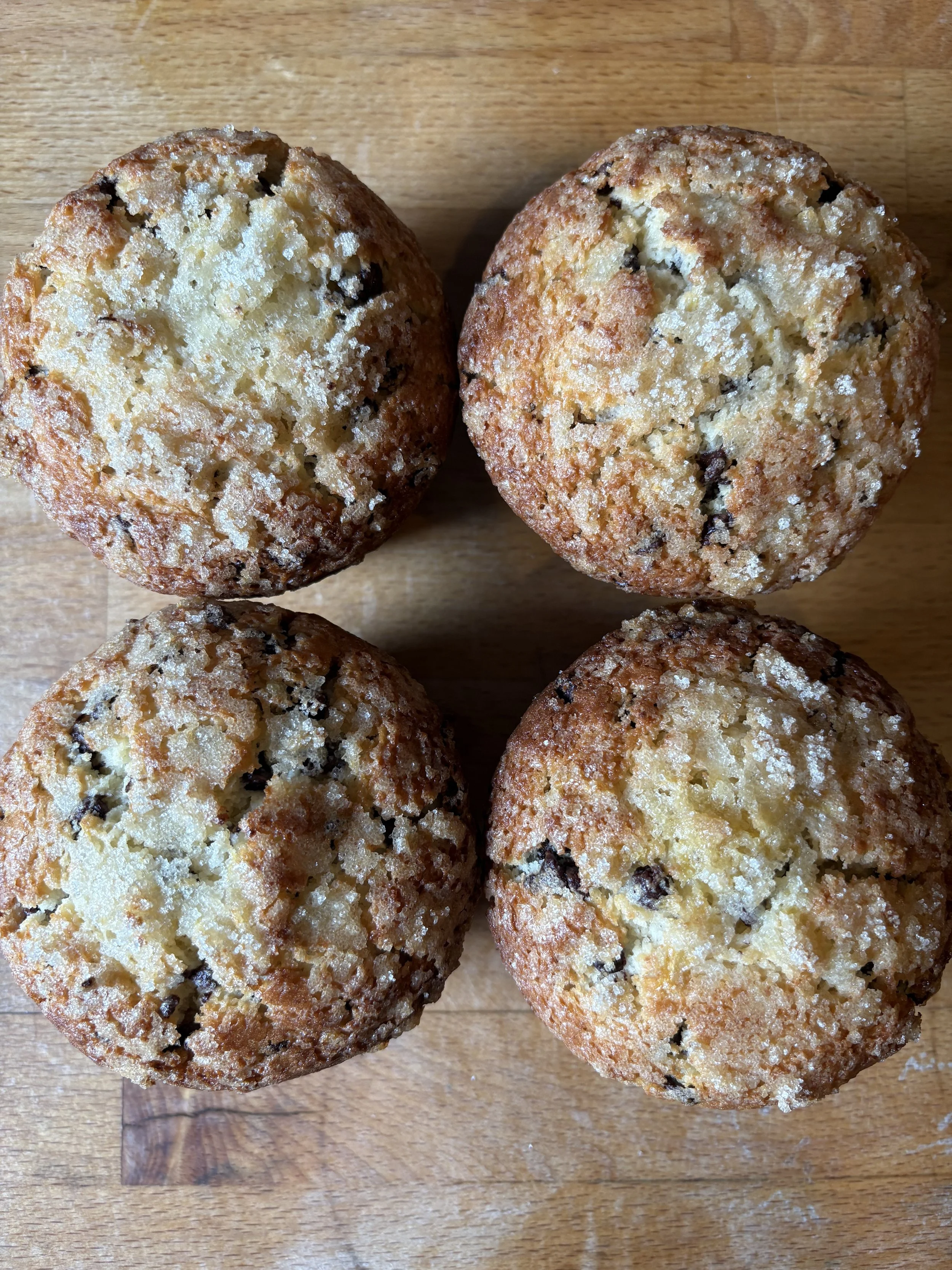 Blueberry Sparkle or Chocolate Chip Four Pack