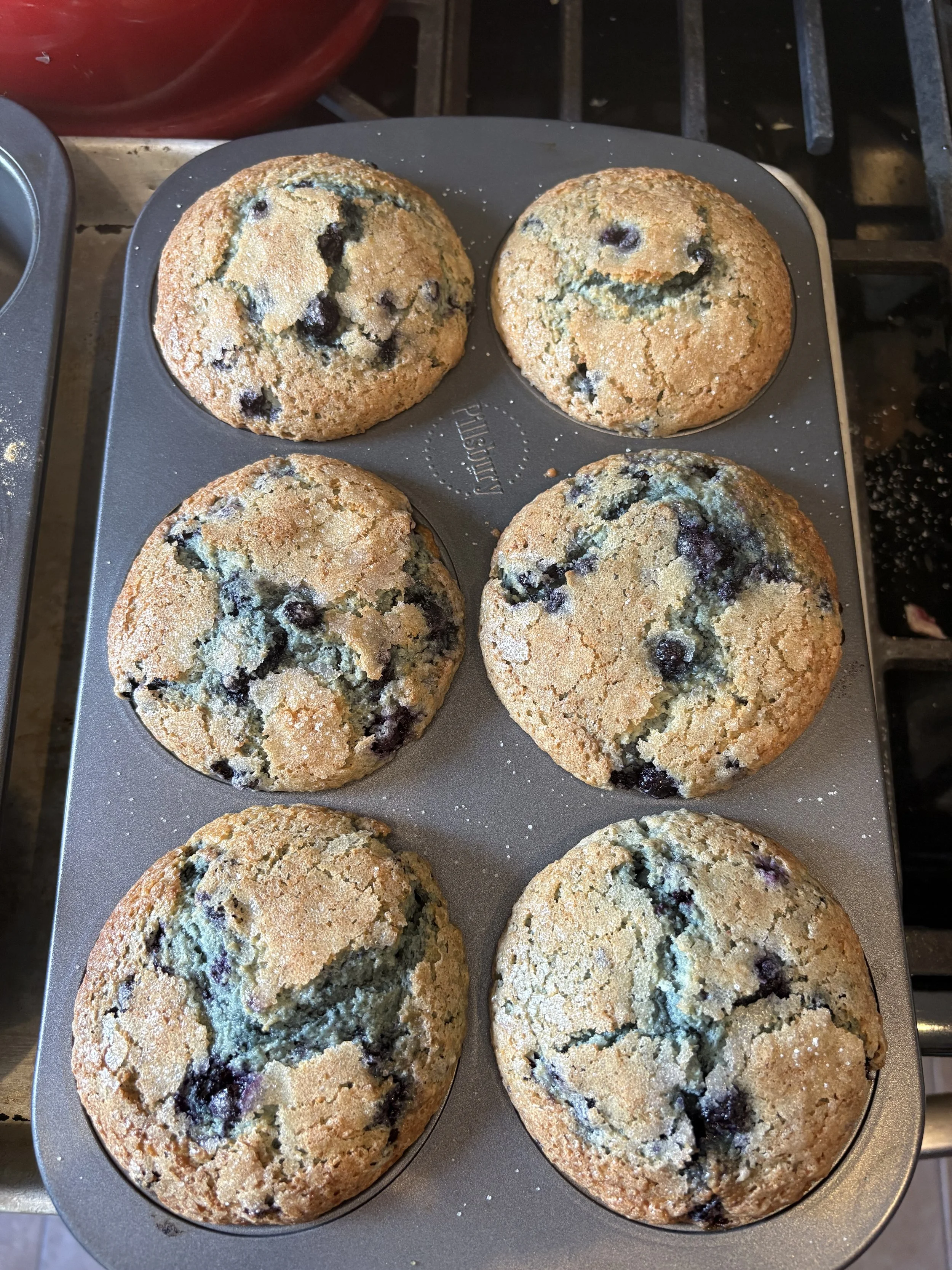 Blueberry Sparkle or Chocolate Chip Six Pack