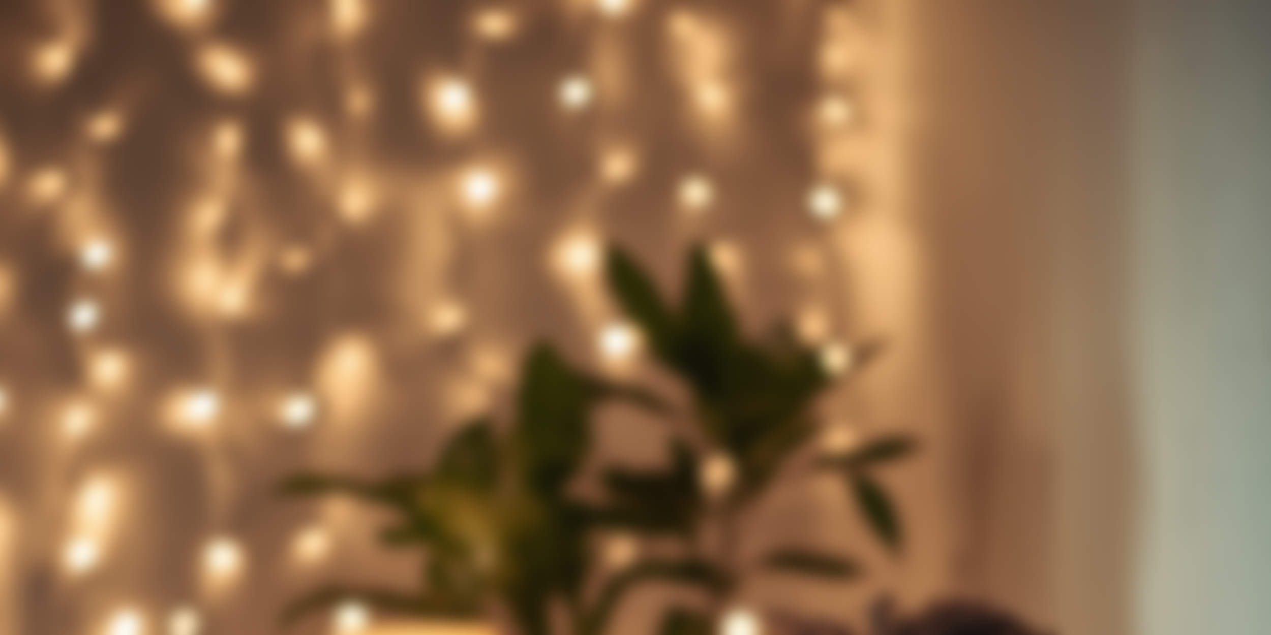 Blurred background of warm white string lights with a silhouette of a plant in the foreground.