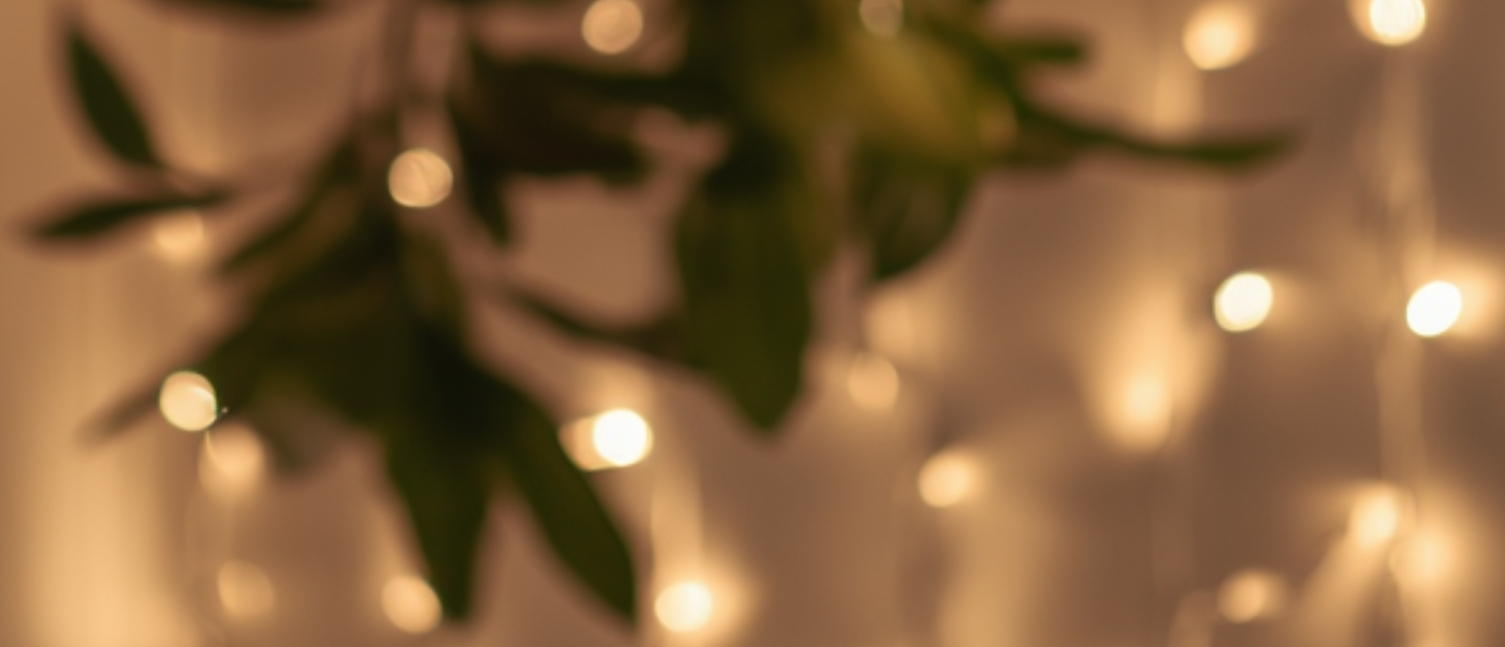 Blurry image of green plant leaves with warm fairy lights in the background.