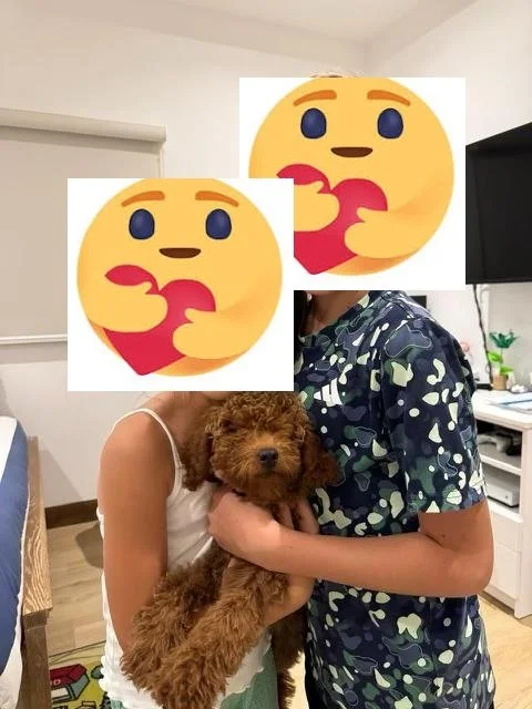 Two children holding a brown fluffy puppy in a room with white walls and furniture.
