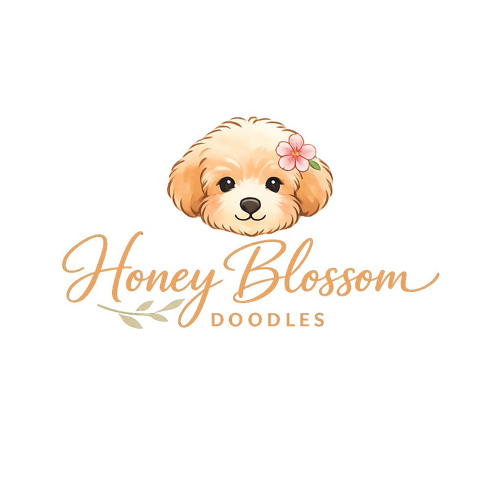 Honey Blossom Doodles 🌸