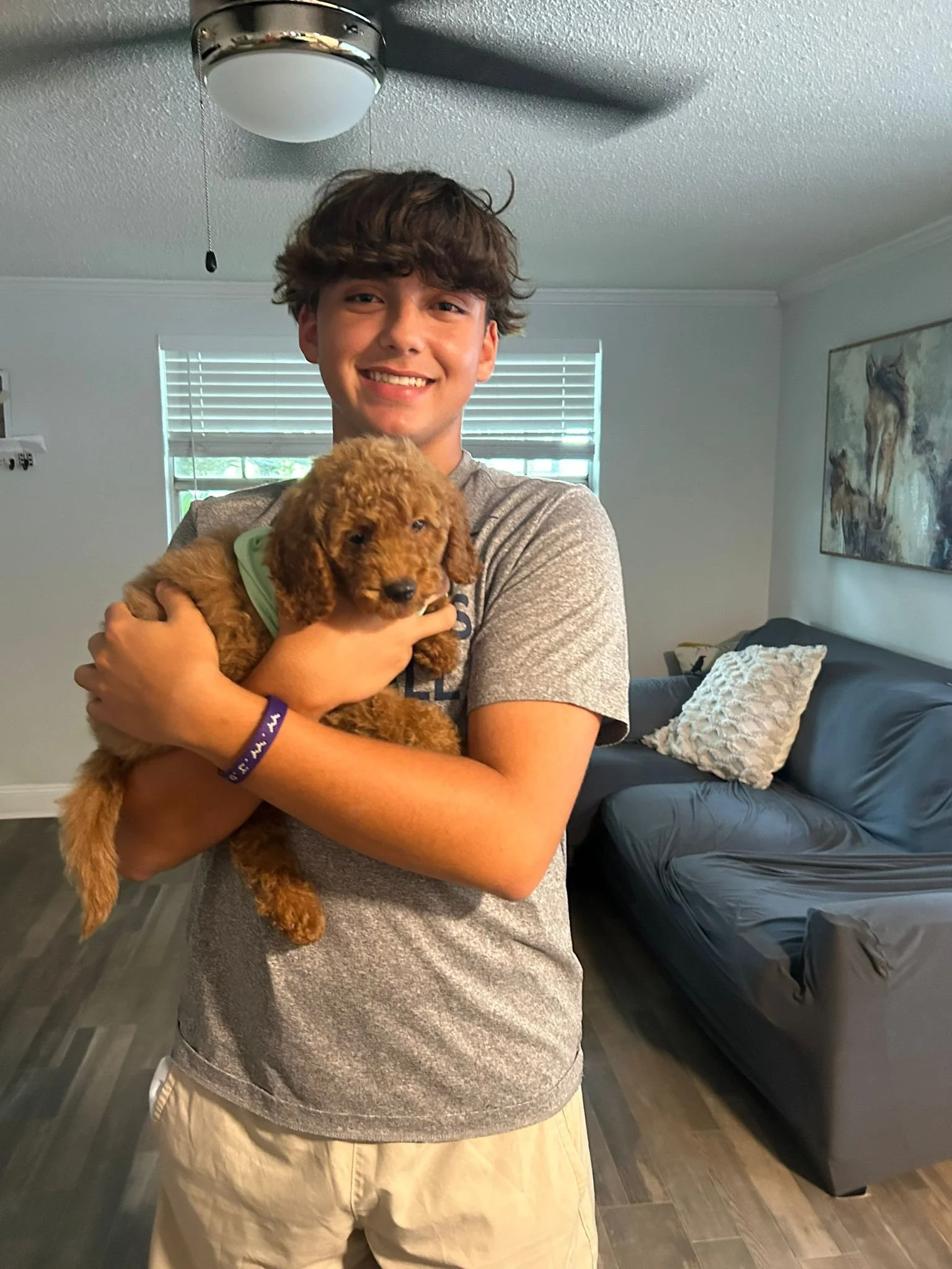 A young man with tinted hair, smiling and holding a small, fluffy brown puppy with long ears, inside a living room. The room has a gray couch with a white textured pillow, a painting of horses on the wall, and a window with blinds in the background.