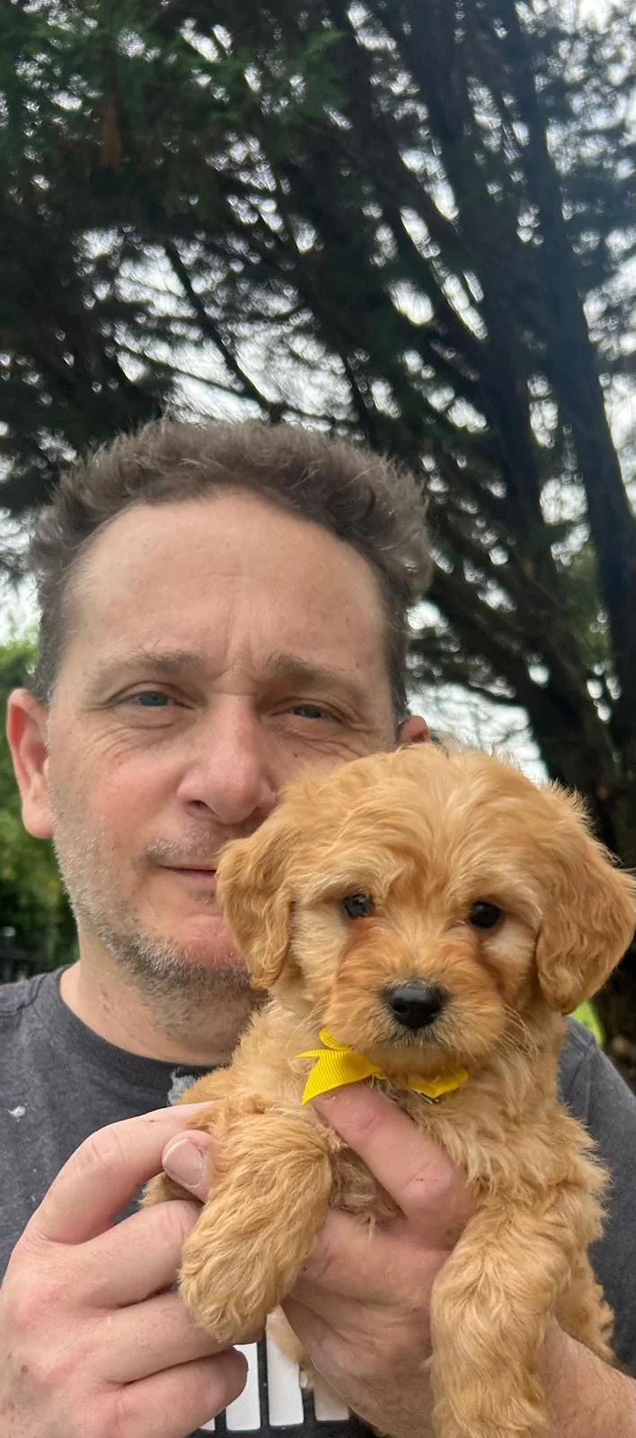 A man holding a small, fluffy, golden-brown puppy with a yellow ribbon around its neck outdoors with trees in the background.