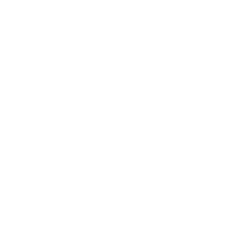 EXPERIENCED PRACTITIONERS