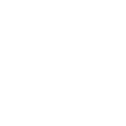 CLINICAL EXPERTISE