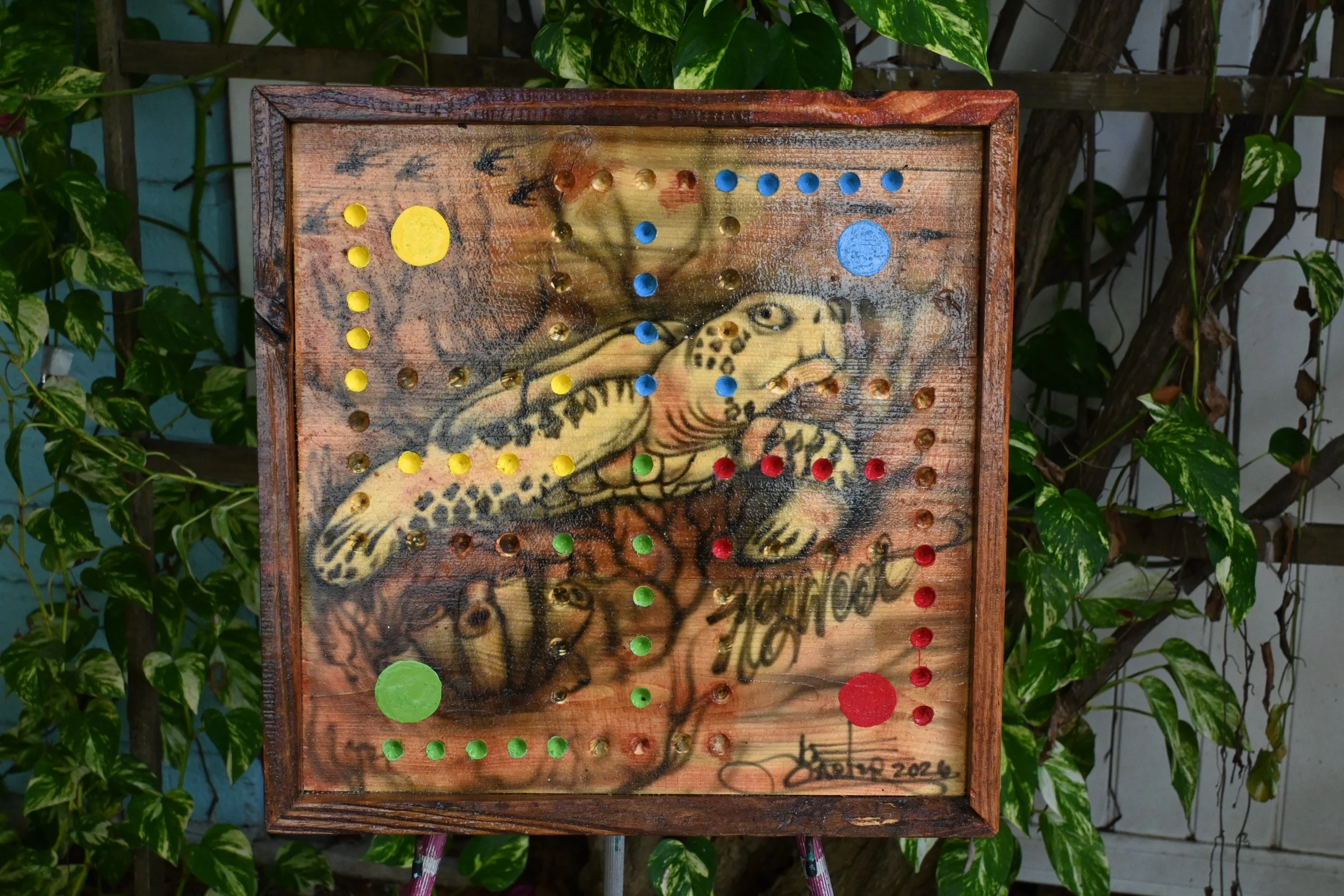 DSC_1558.JPG