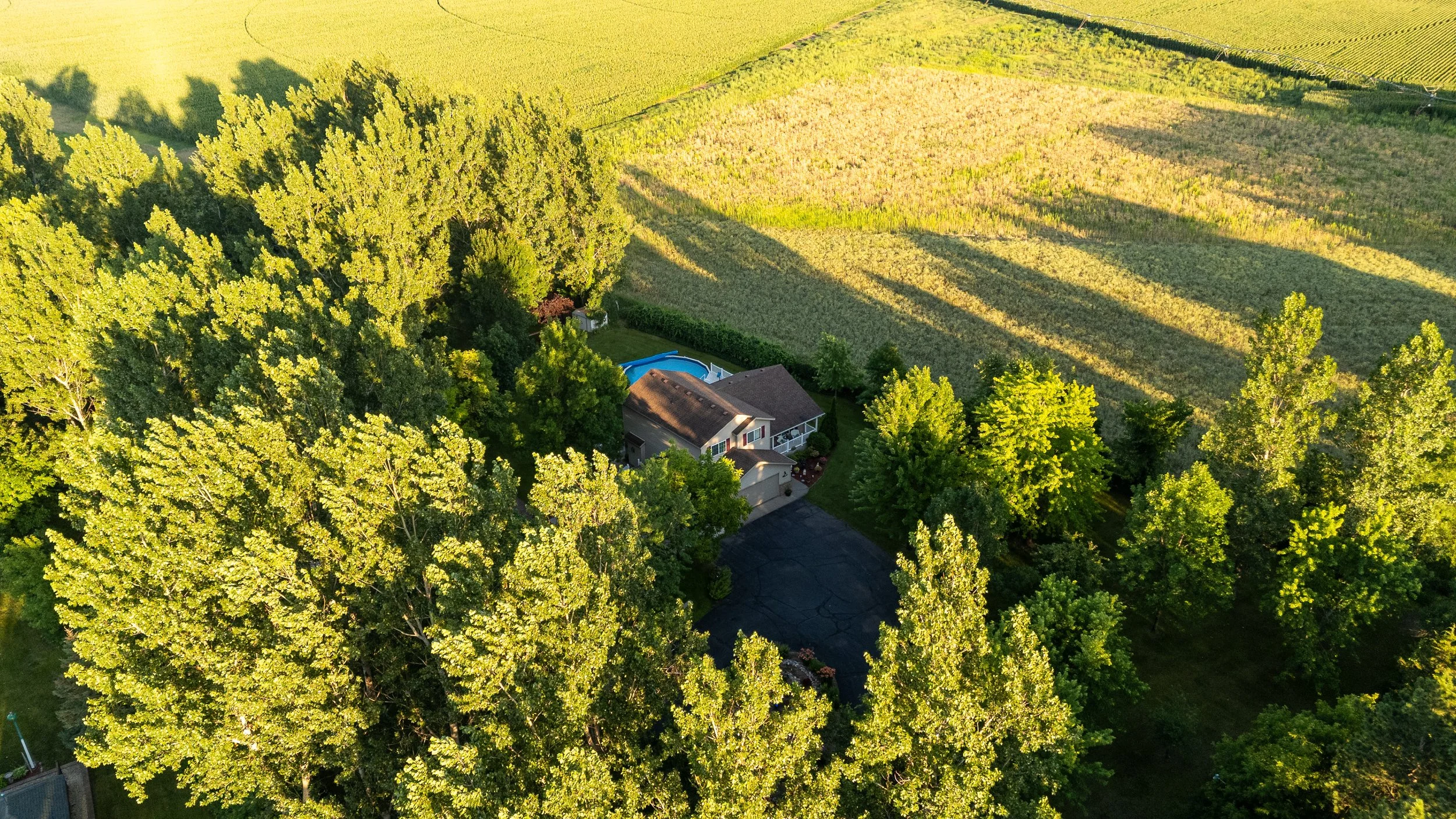 An aerial view of a house with a blue swimming pool surrounded by tall trees, with large fields of crops in the background, taken during golden hour.