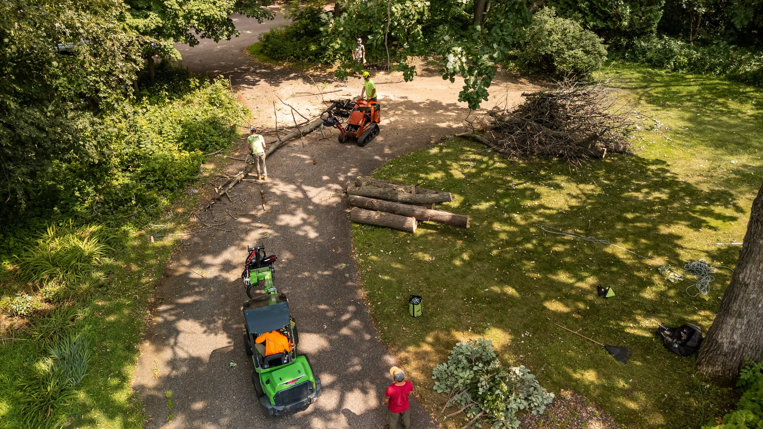 Workers pruning trees and clearing branches using heavy equipment in a backyard with trees, grass, and a gravel pathway.