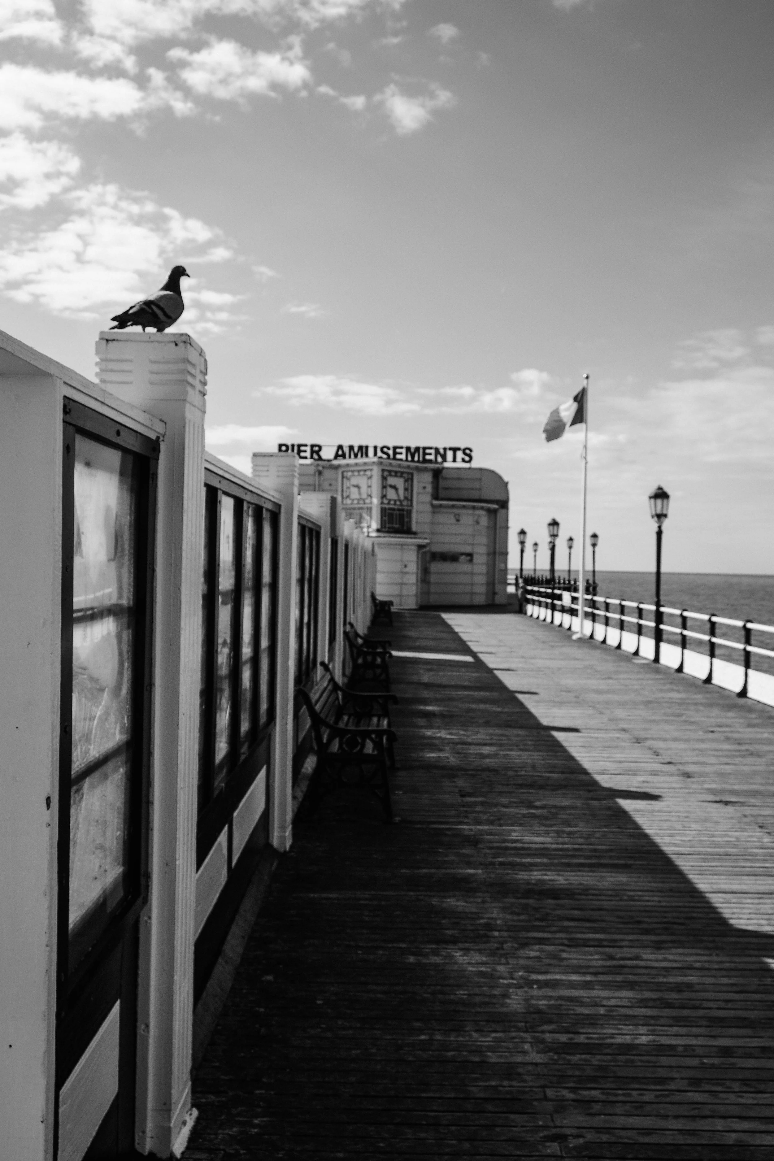 pigeon pier.jpg