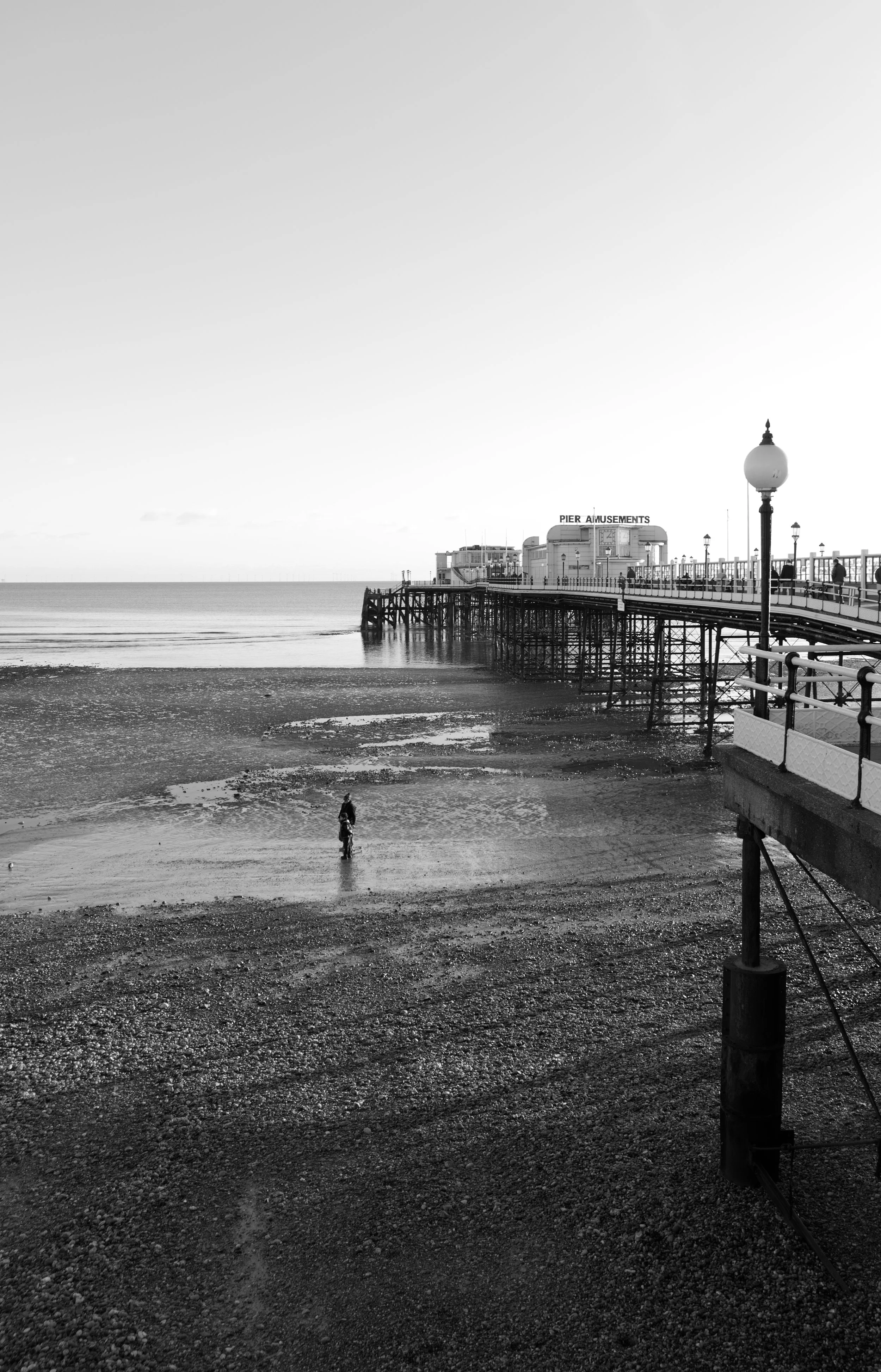 DSCF2251-v1.jpg