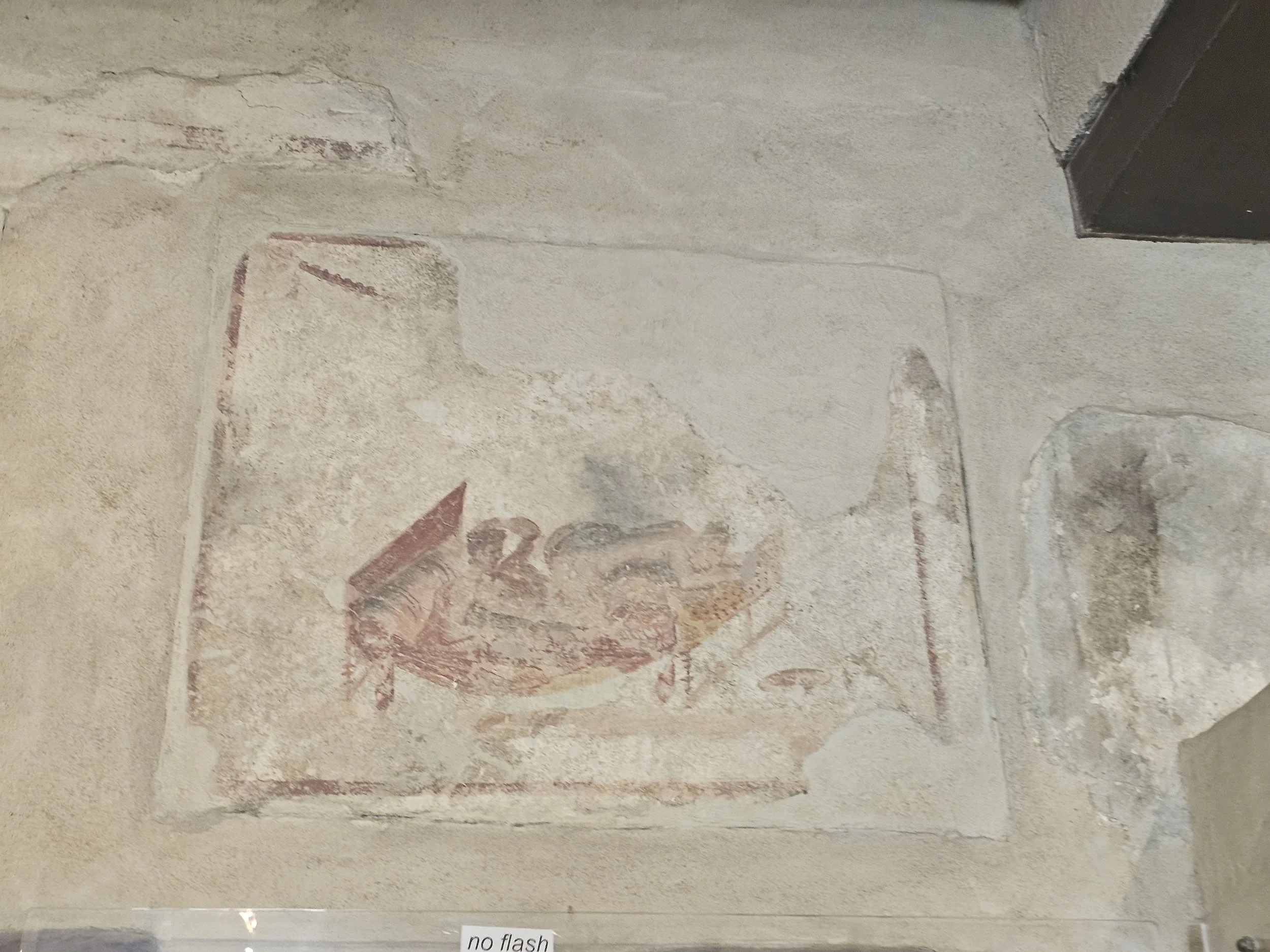20250317_103351 - Copy.jpg