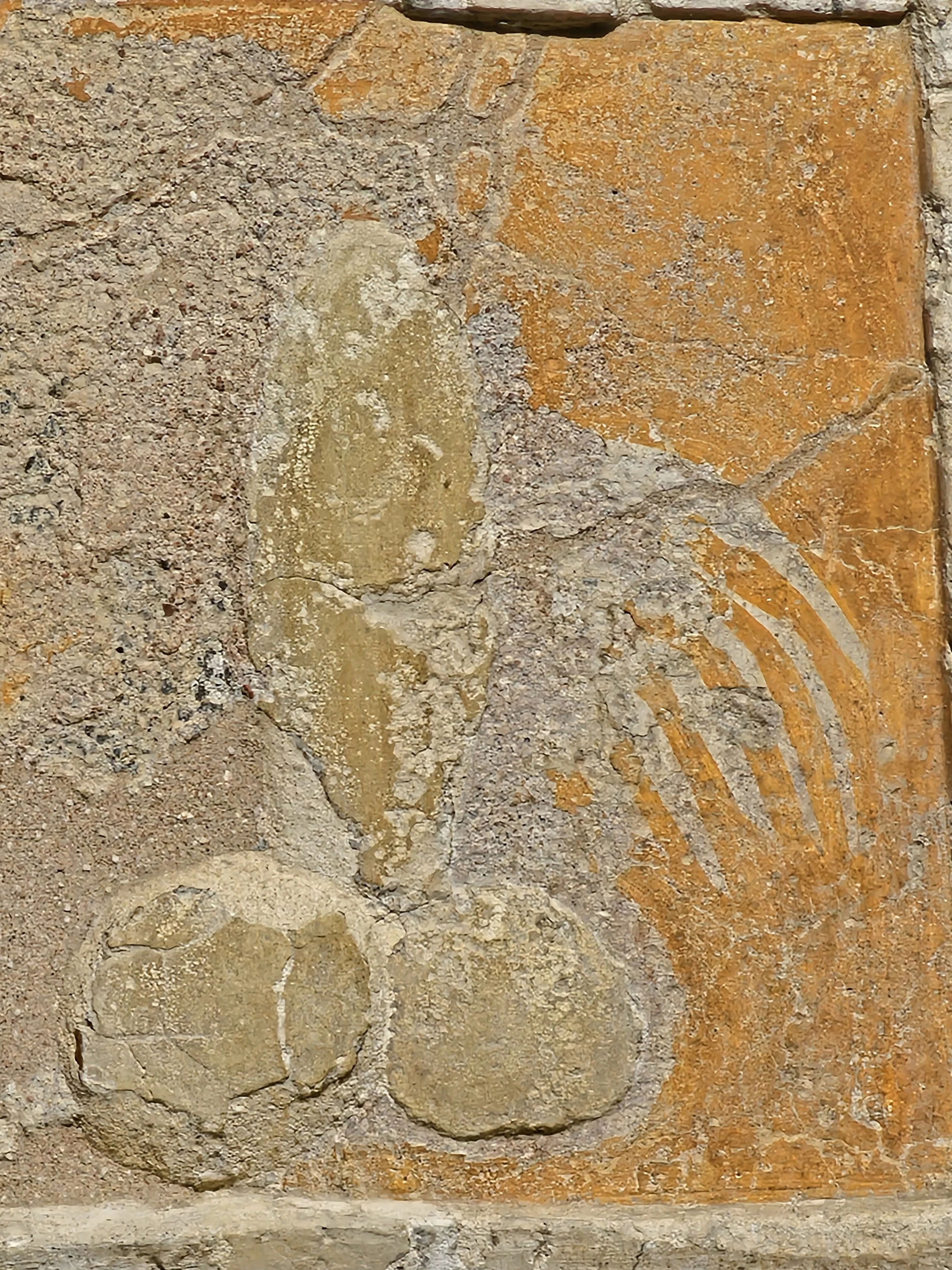 20250317_100933 - Copy.jpg