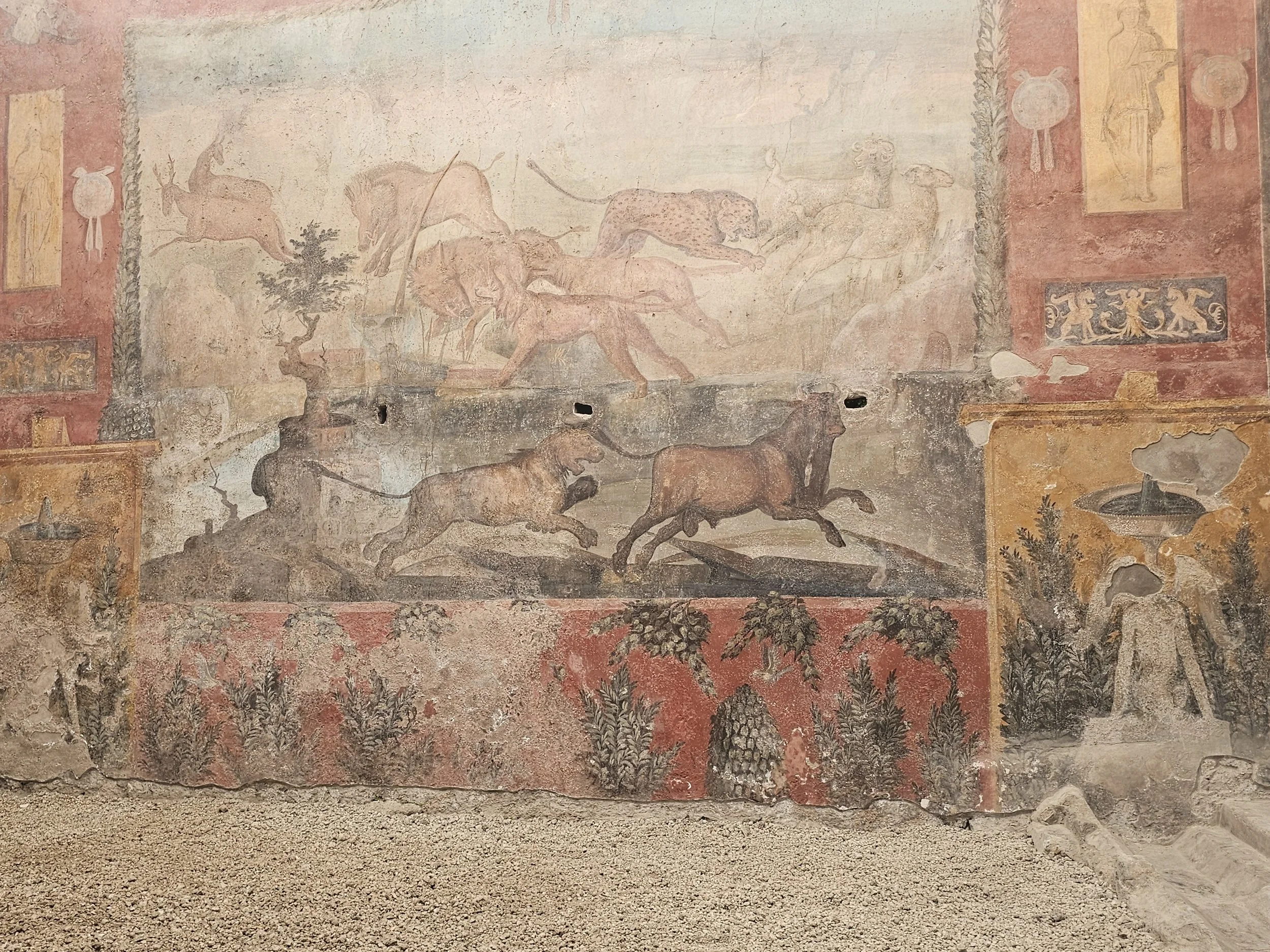 20250317_095307 - Copy.jpg