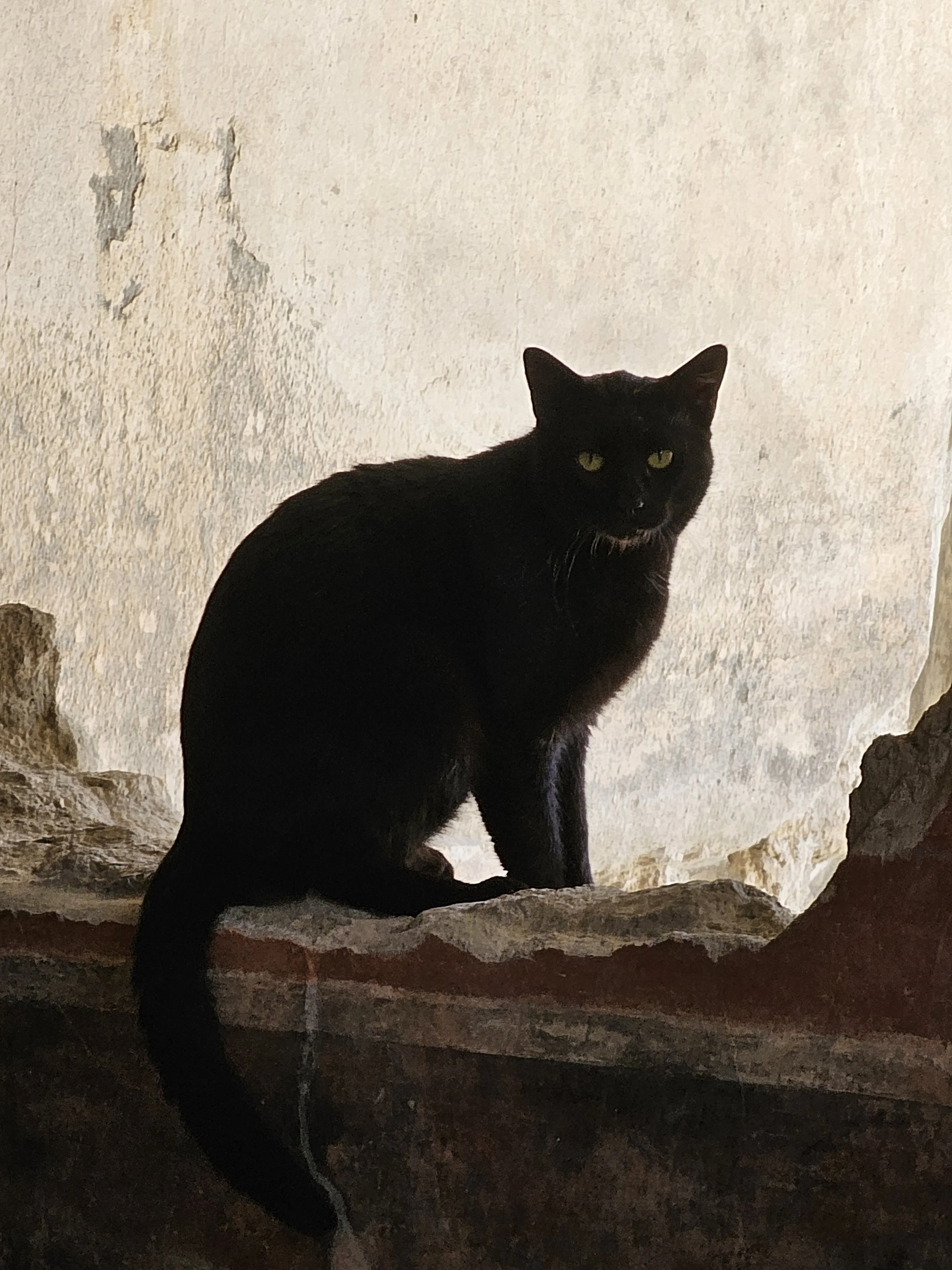 20250317_101207 - Copy.jpg