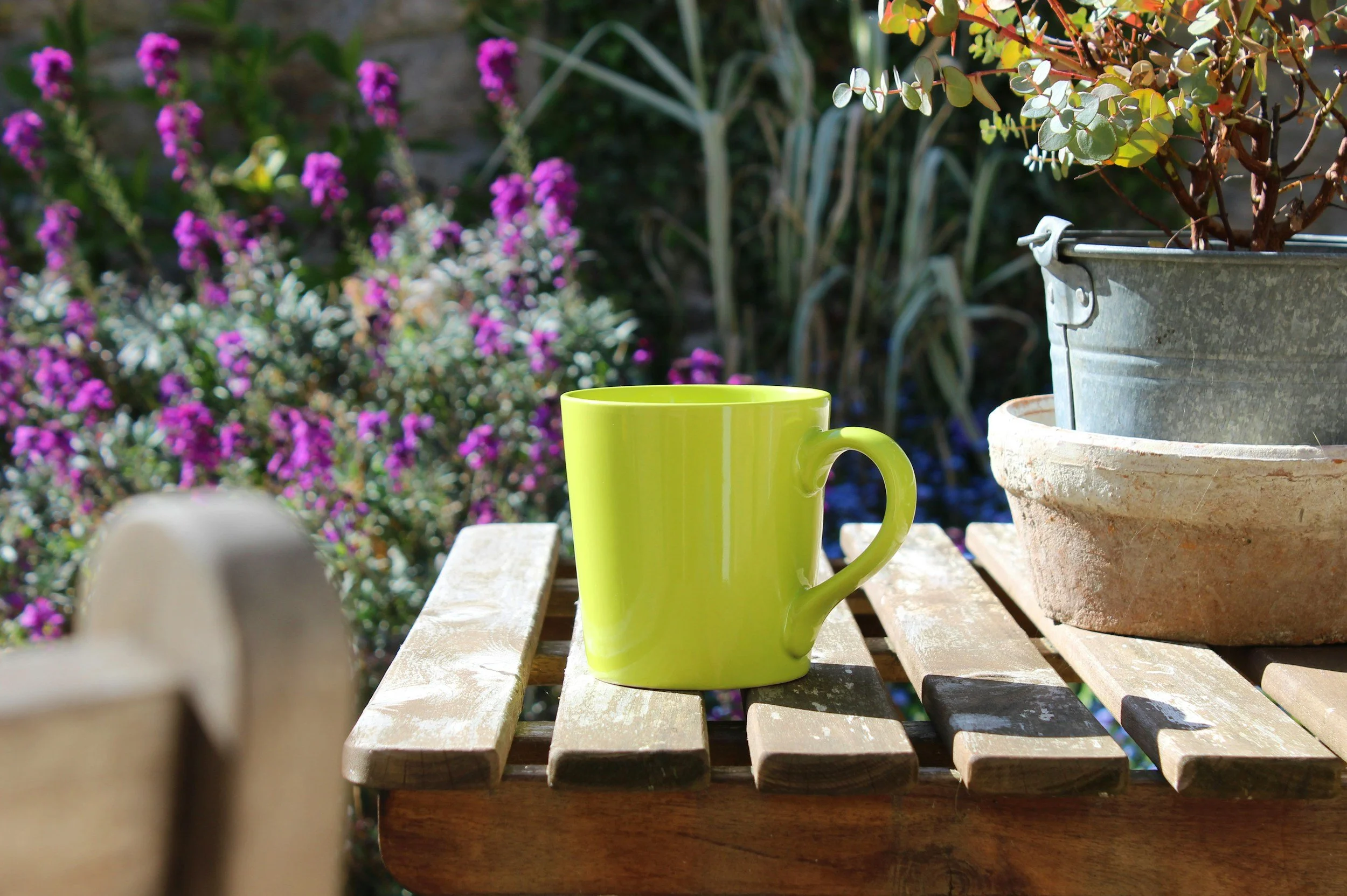 A yellow coffee mug placed on a wooden outdoor table with potted plants and purple flowers in the background.