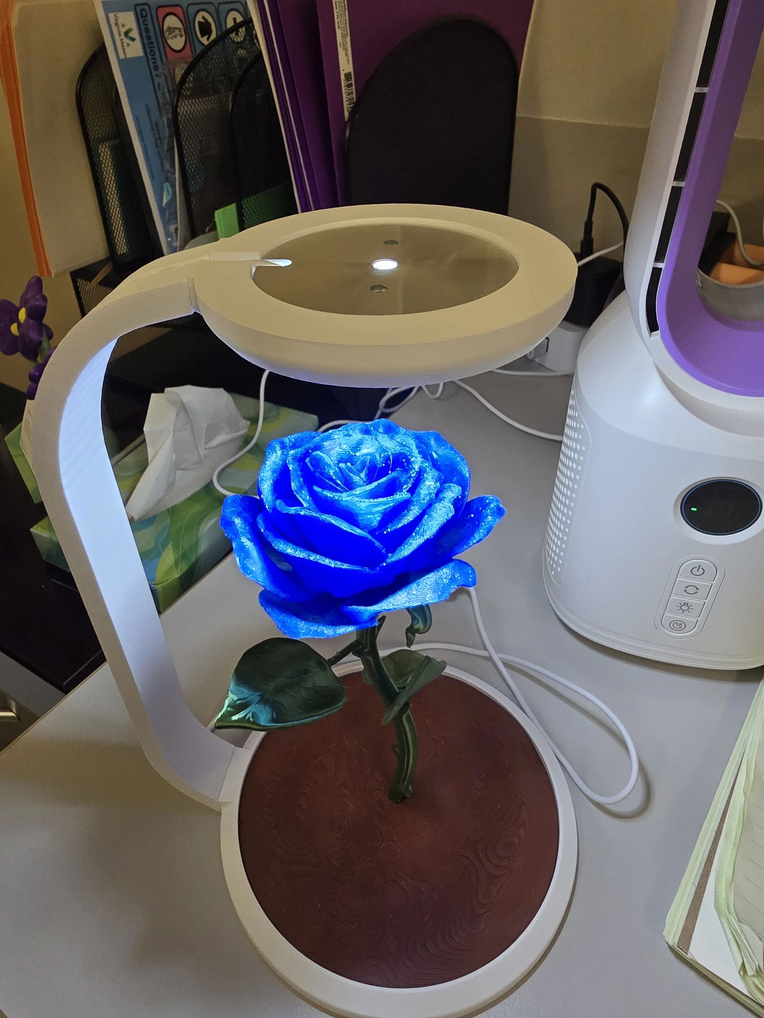 BnB Lamp.jpg