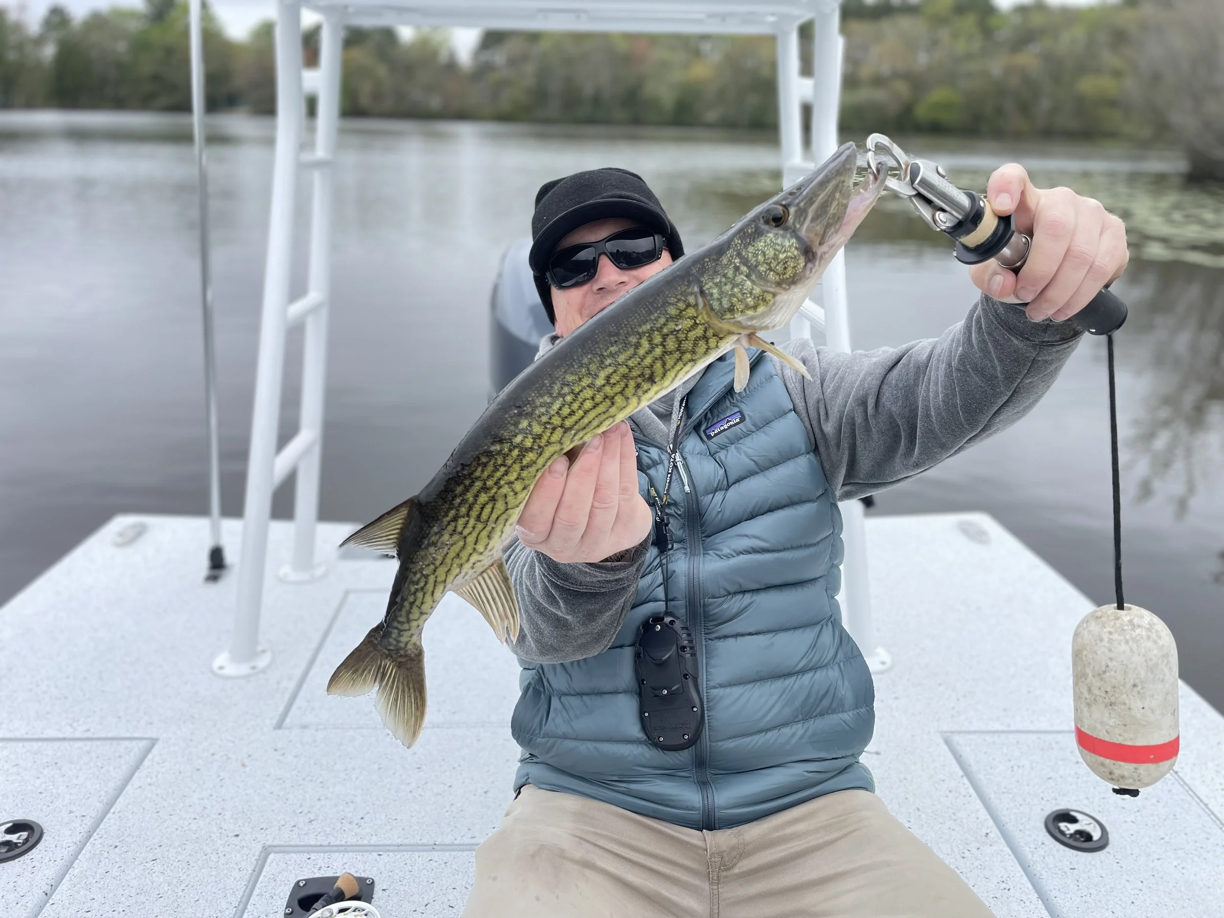 Person sitting on a boat holding a large fish, wearing sunglasses, a black beanie, and a blue vest, with trees and water in the background.