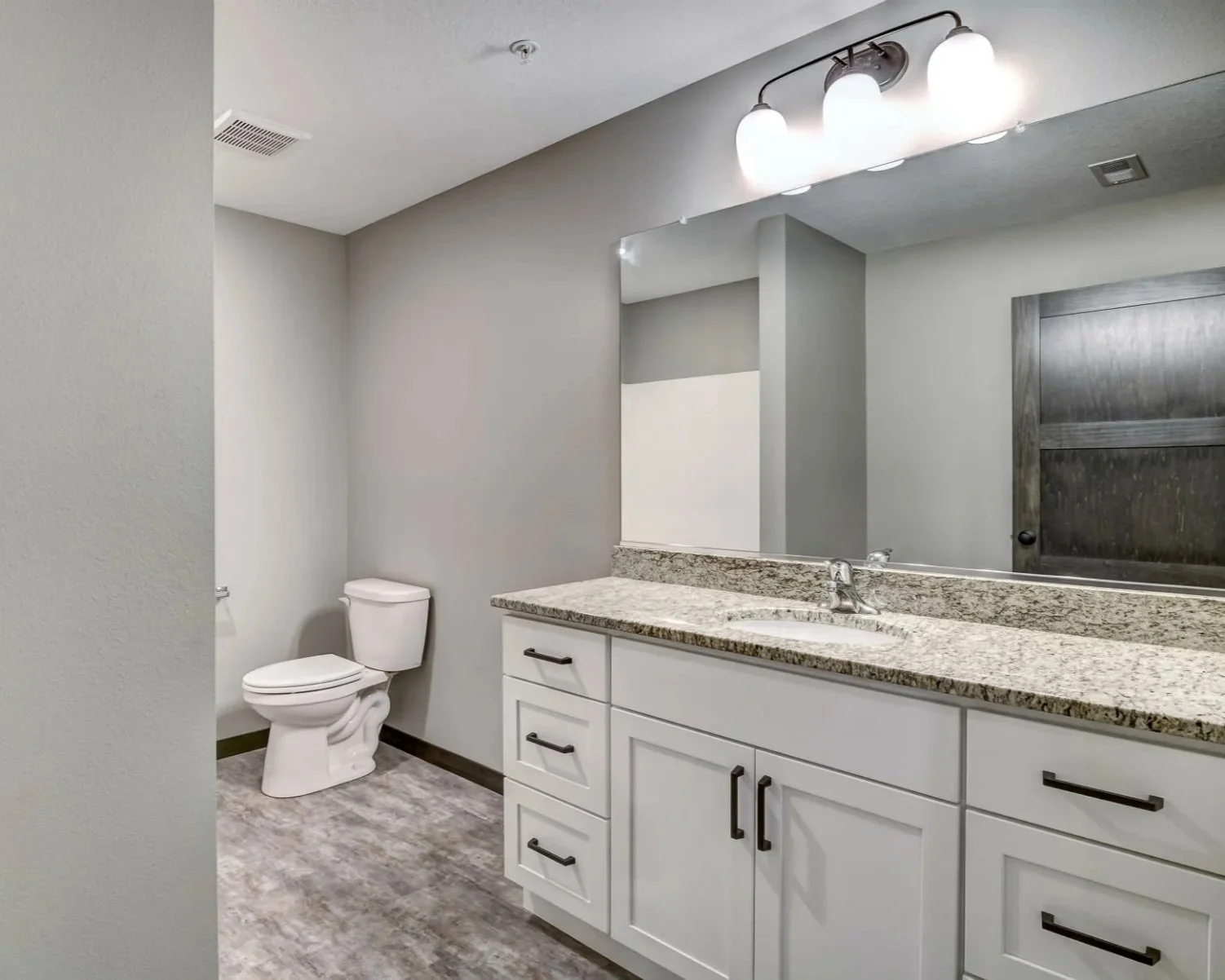 Bathroom with toilet, granite countertop sink, large mirror, and wooden door.