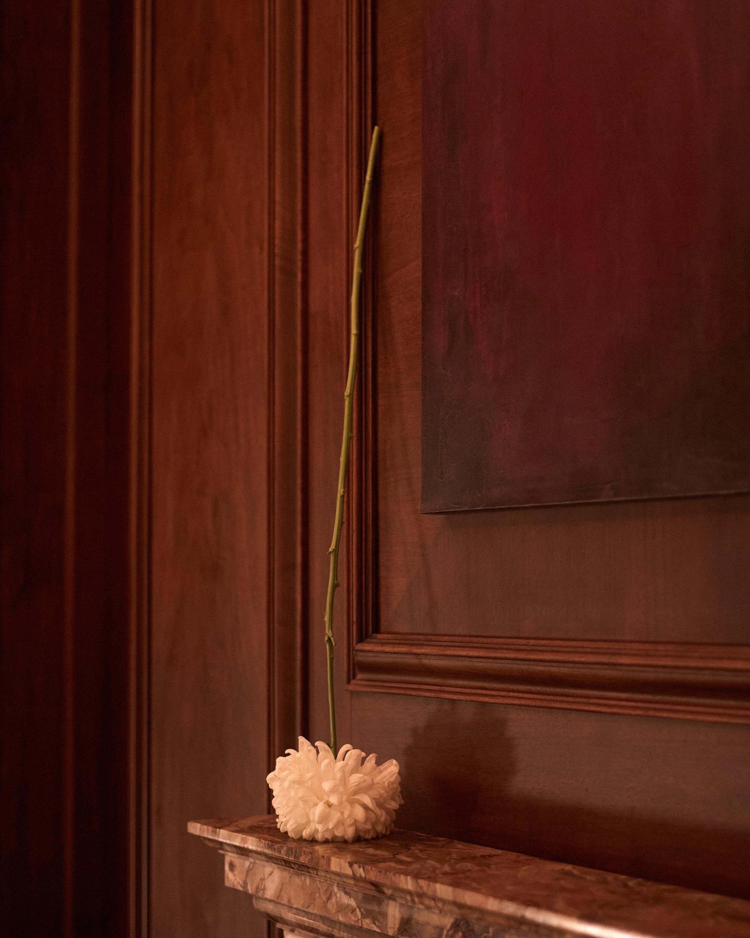 L1004597.jpg