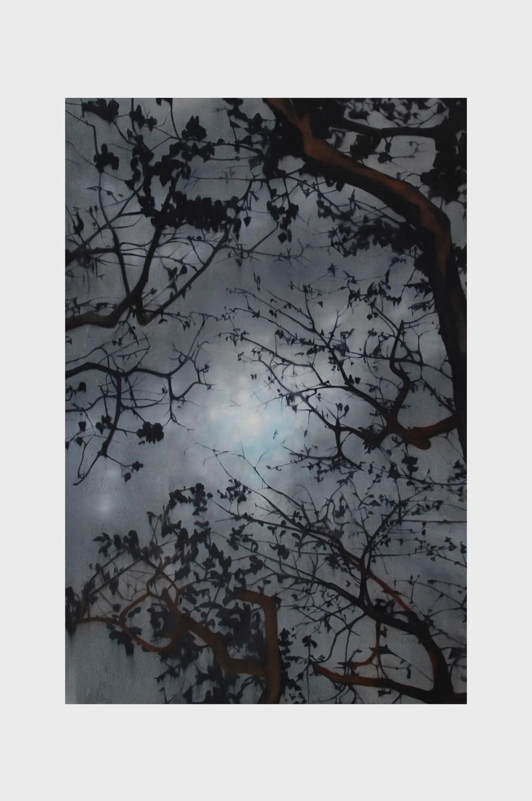 Nighttime view of tree branches with leaves silhouetted against a cloudy sky and a full moon