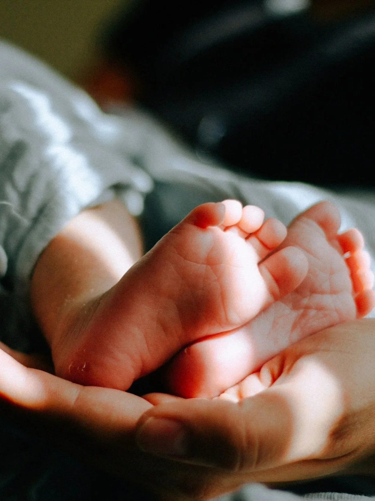 Close-up of a baby's tiny hand held gently by an adult's hand.