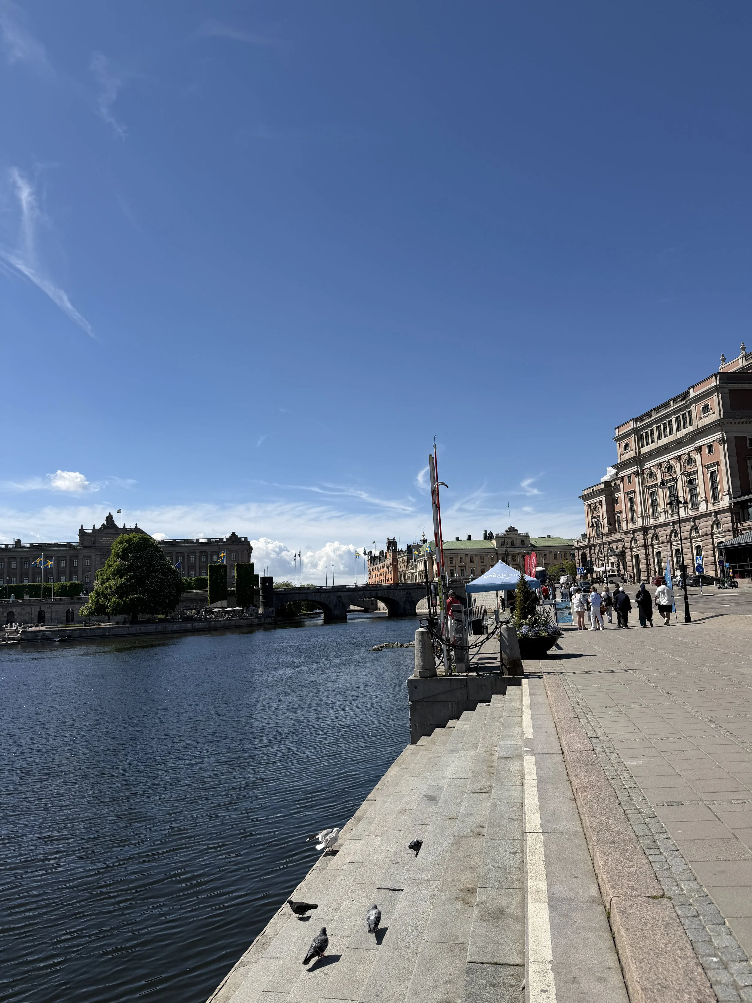 IMG_3488.JPG