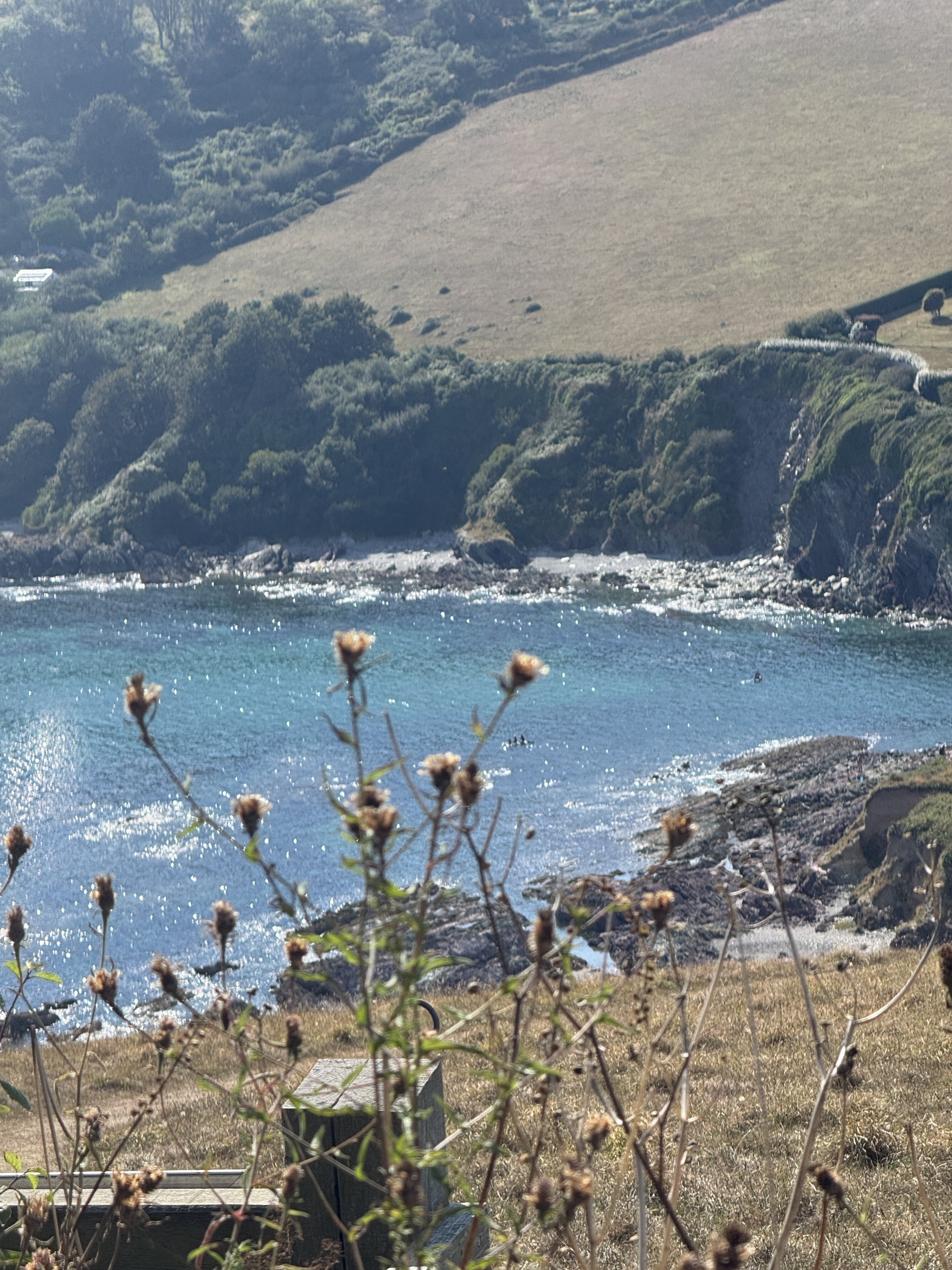 hike to talland bay cornwall.JPG