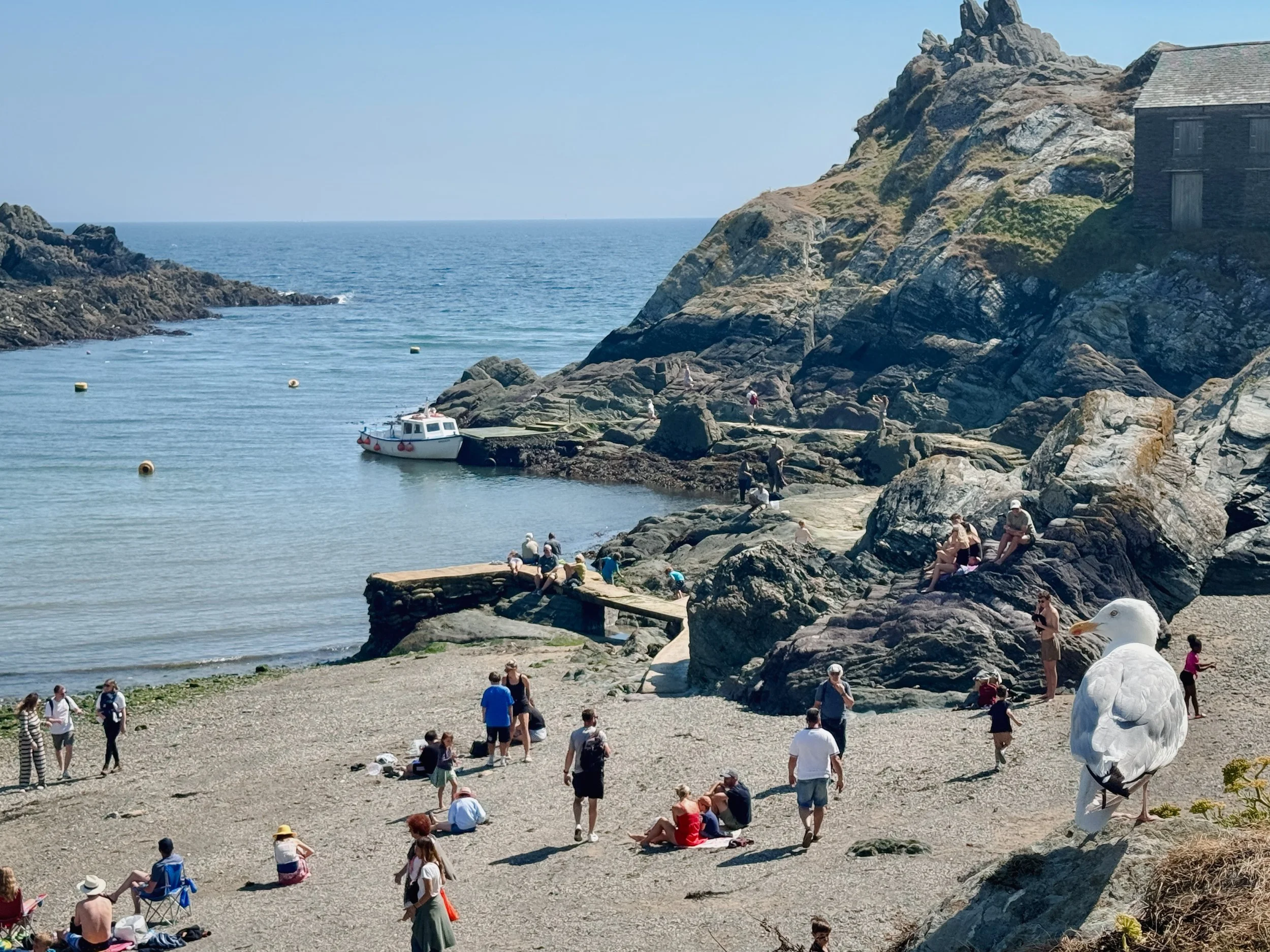 Polperro: exploring a small, Cornish fishing village