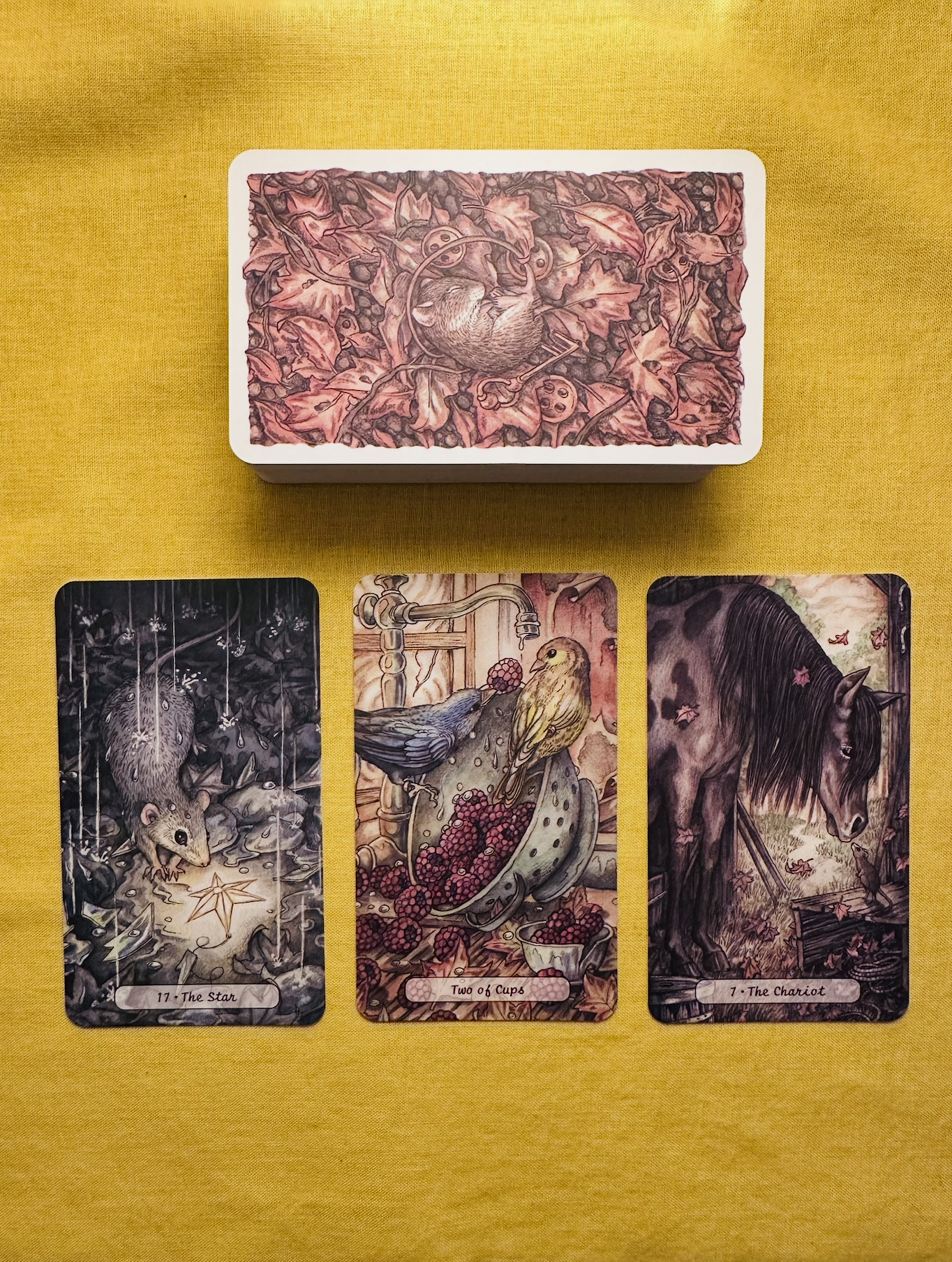 Three cards from the Heartwood deck - The Star, the Two of Cups, and The Chariot - laid out in a row on a yellow cloth with a deck above them that has a pattern of autumn leaves with a small mouse nestled among them.