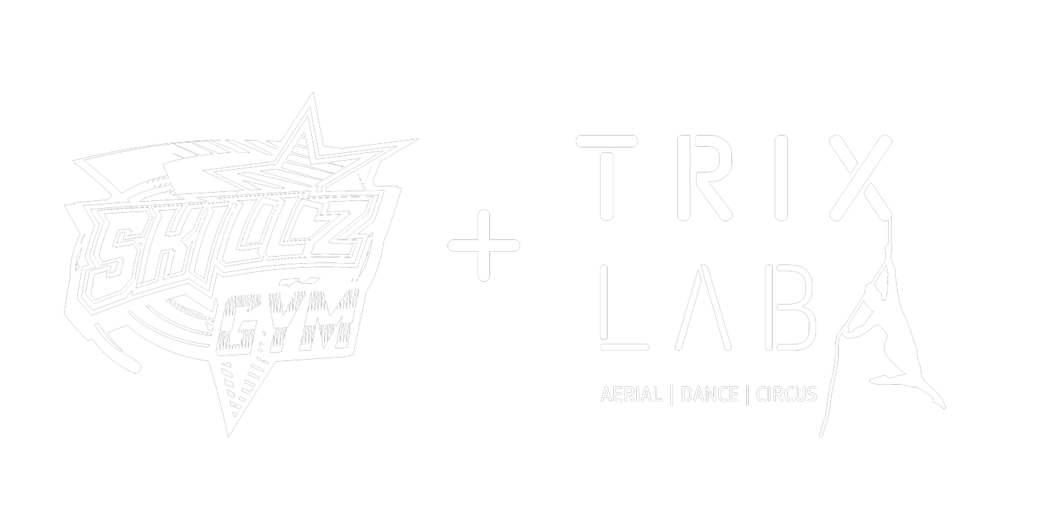 Aerial. Dance. Circus.