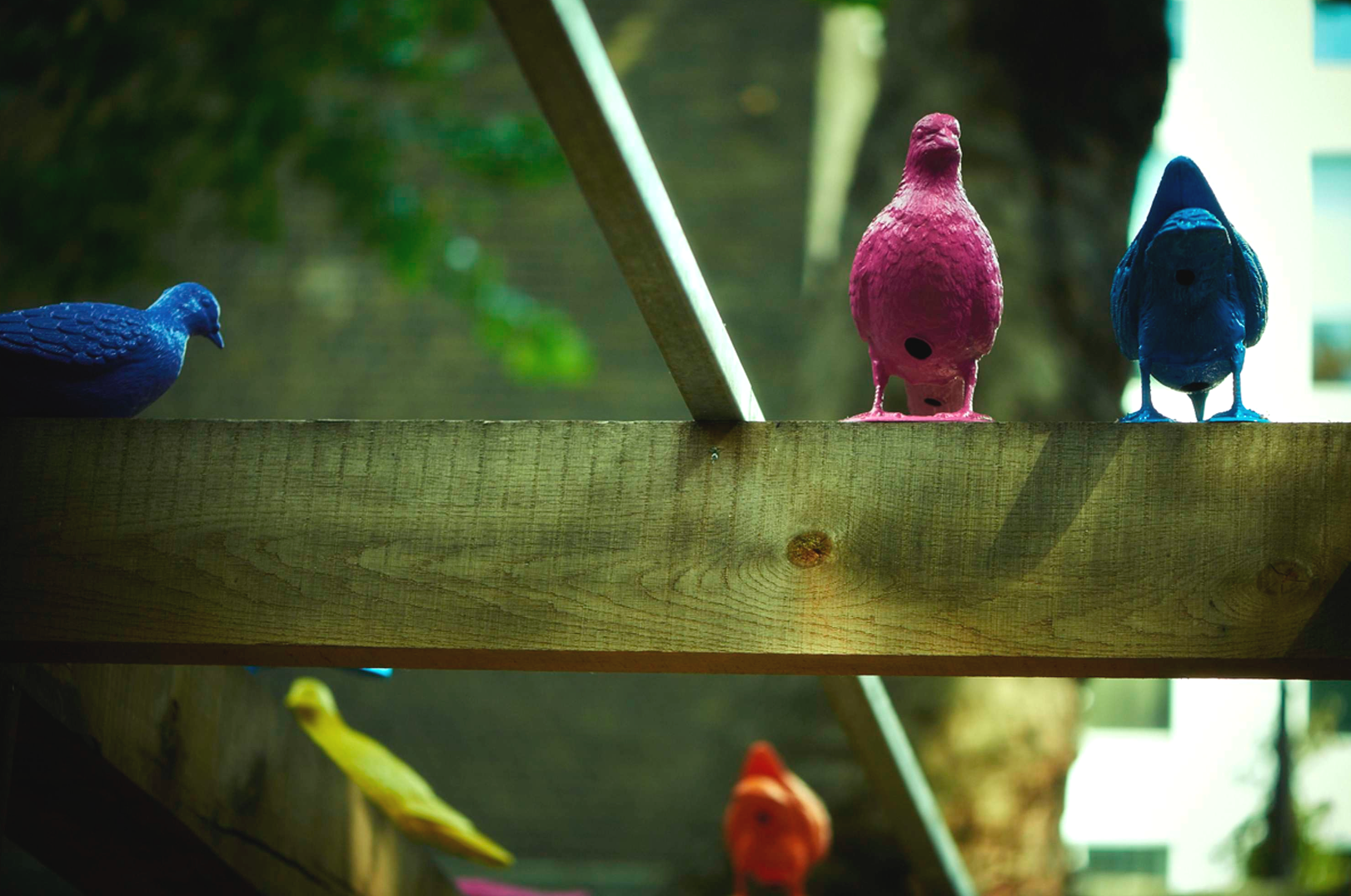 Colorful bird figurines in pink, blue, and yellow on a wooden shelf, with a blurred background of outdoor greenery.