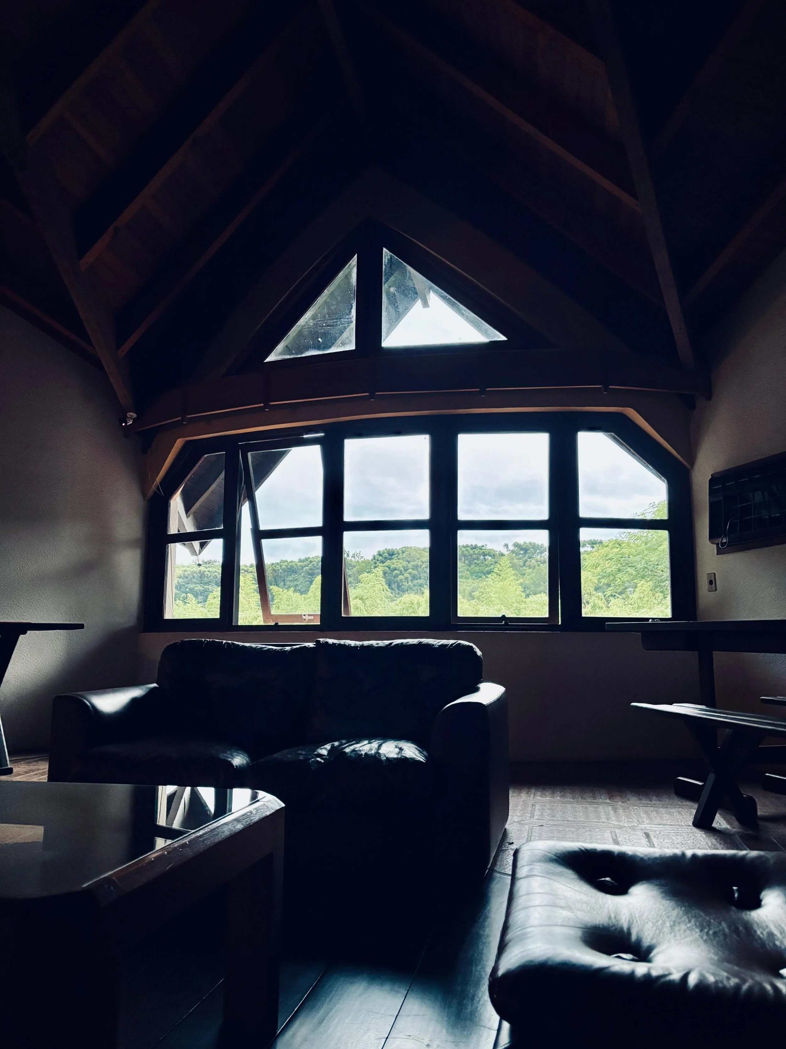 Sala de estar com janelas grandes e vista para a natureza, móveis de couro preto, teto de madeira com estrutura triangular e iluminação natural.