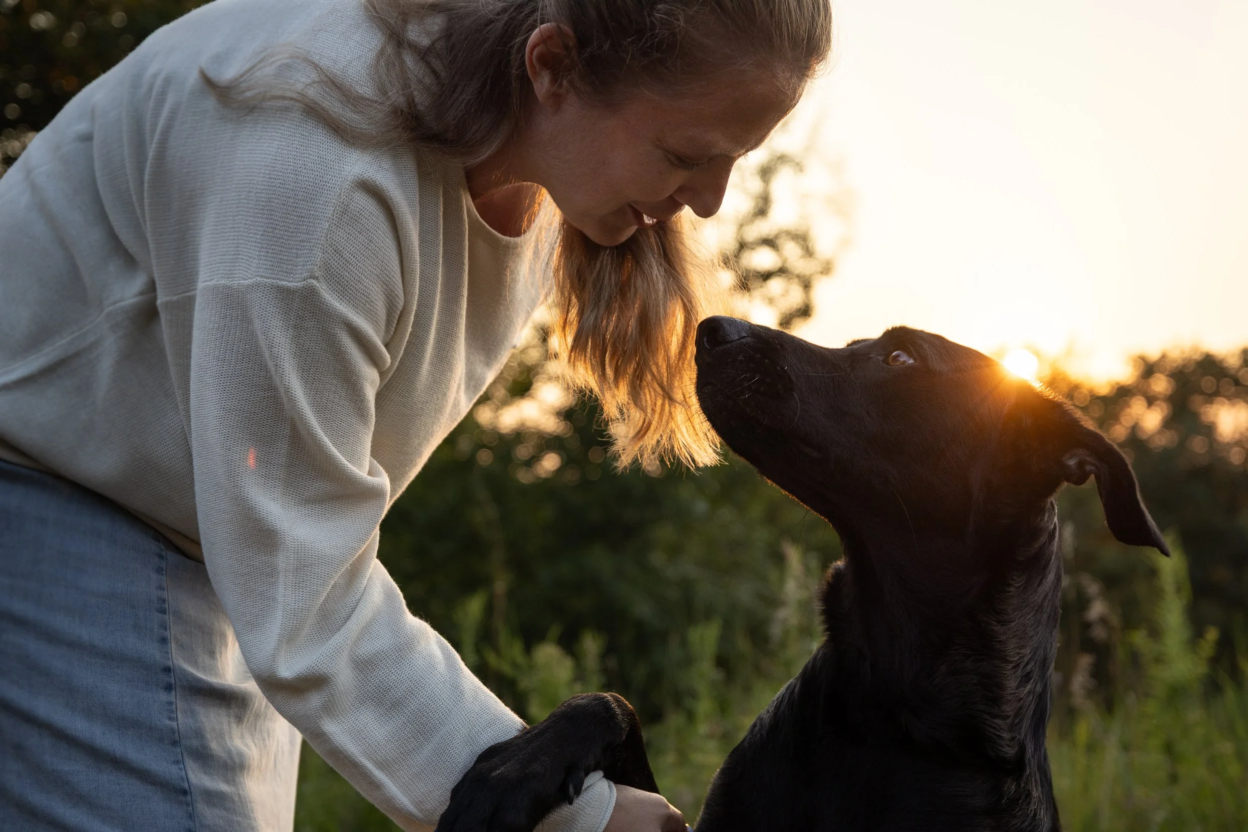 A backlit woman smiling and leaning close to a black dog during sunset outdoors, with trees in the background.