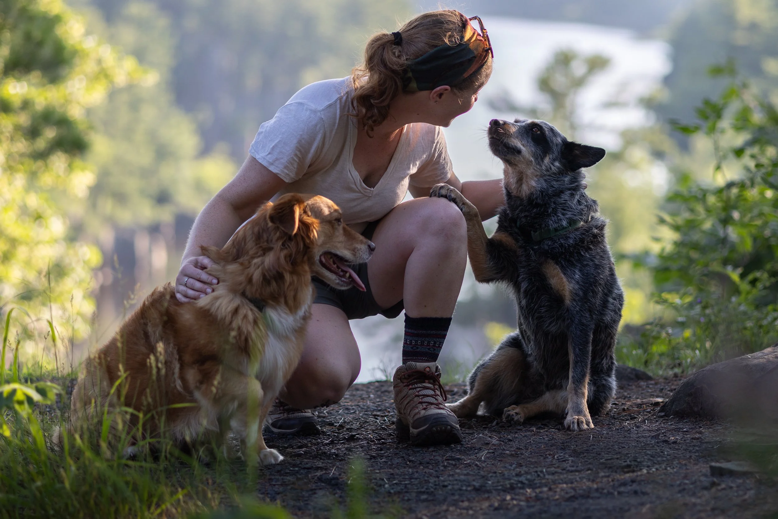 A woman in outdoor clothing kneeling on a dirt trail in a forest, smiling and interacting with three dogs, including a black and tan Australian Shepherd and a brown dog with floppy ears, during daylight.