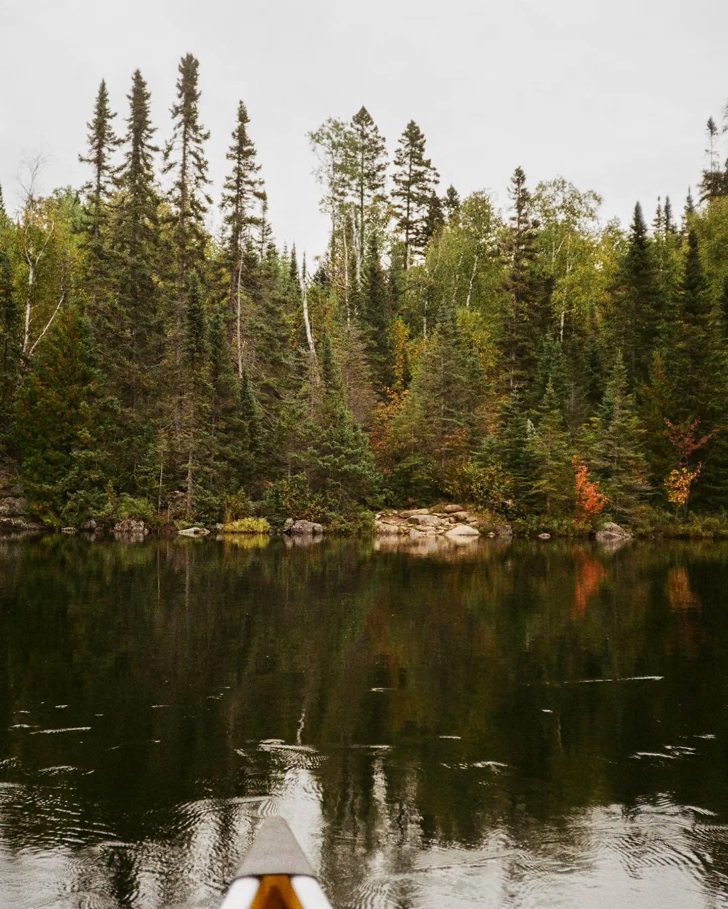Day 5 ↟ Trail Notes 

9/18/2025
Gillis to Round Lake 
8 Portages 

Highs: fall colors popping // peaceful day canoeing // getting back to Tuscarora Lodge to clean up before the drive home // meeting up with Kelly at Unmapped where she brought us HOME