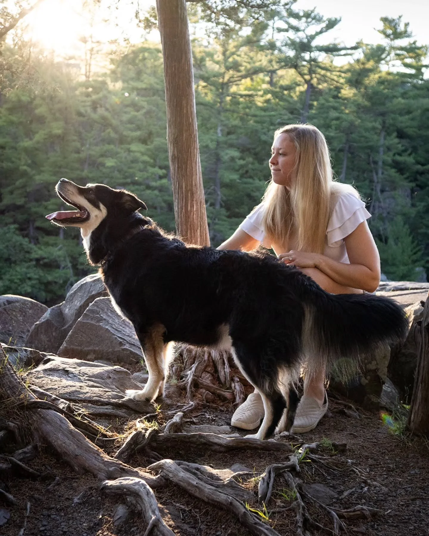 Happy girl, Stella, taking her person for a hike.
&bull;
&bull;
&bull;
#twincitiesdogphotography #dogphotography #minnesotapetphotography #outdoorportrait #hikingwithdogs