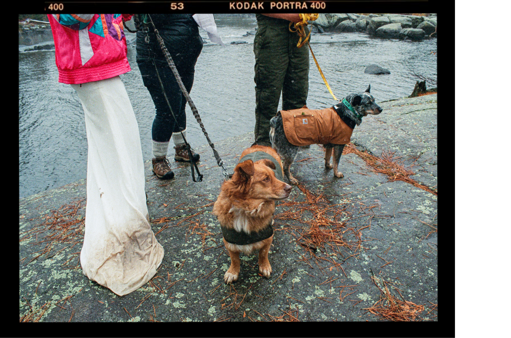Three people stand near a riverbank with two dogs on leashes. One dog is a brown, long-haired dog, and the other is a black and white dog wearing a brown jacket. The scene appears to be outdoors during rainy weather.