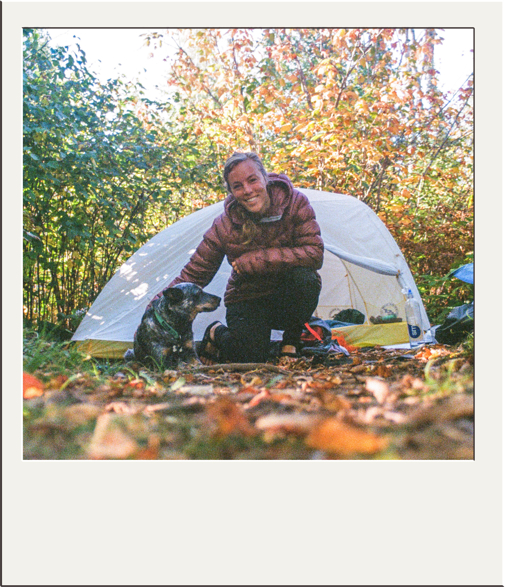A person smiling and wearing outdoor clothing is kneeling next to a dog inside a camping tent, surrounded by trees with colorful autumn leaves.