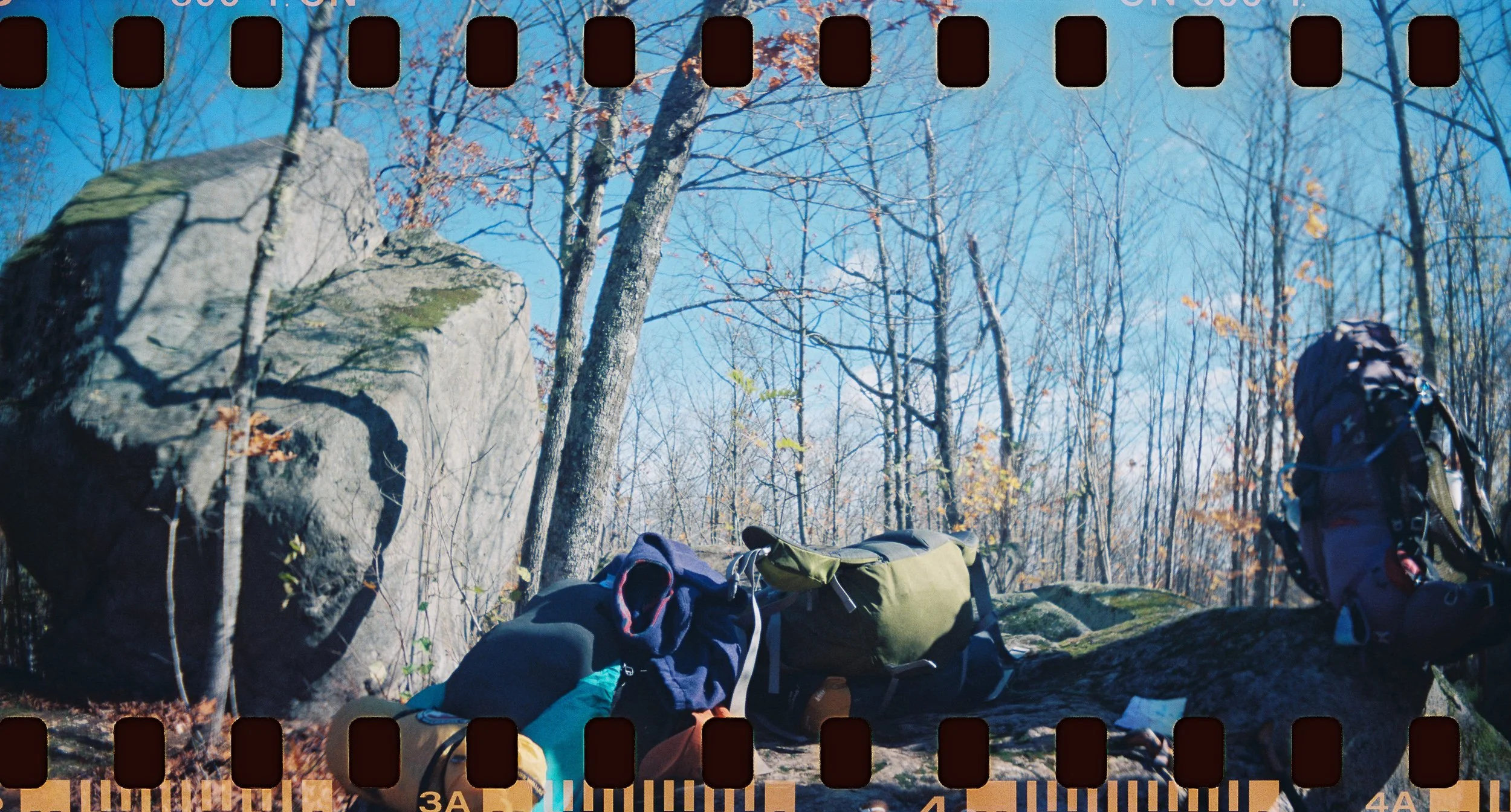 A forest scene with leafless trees, large rocks, and backpacks lying on the ground.