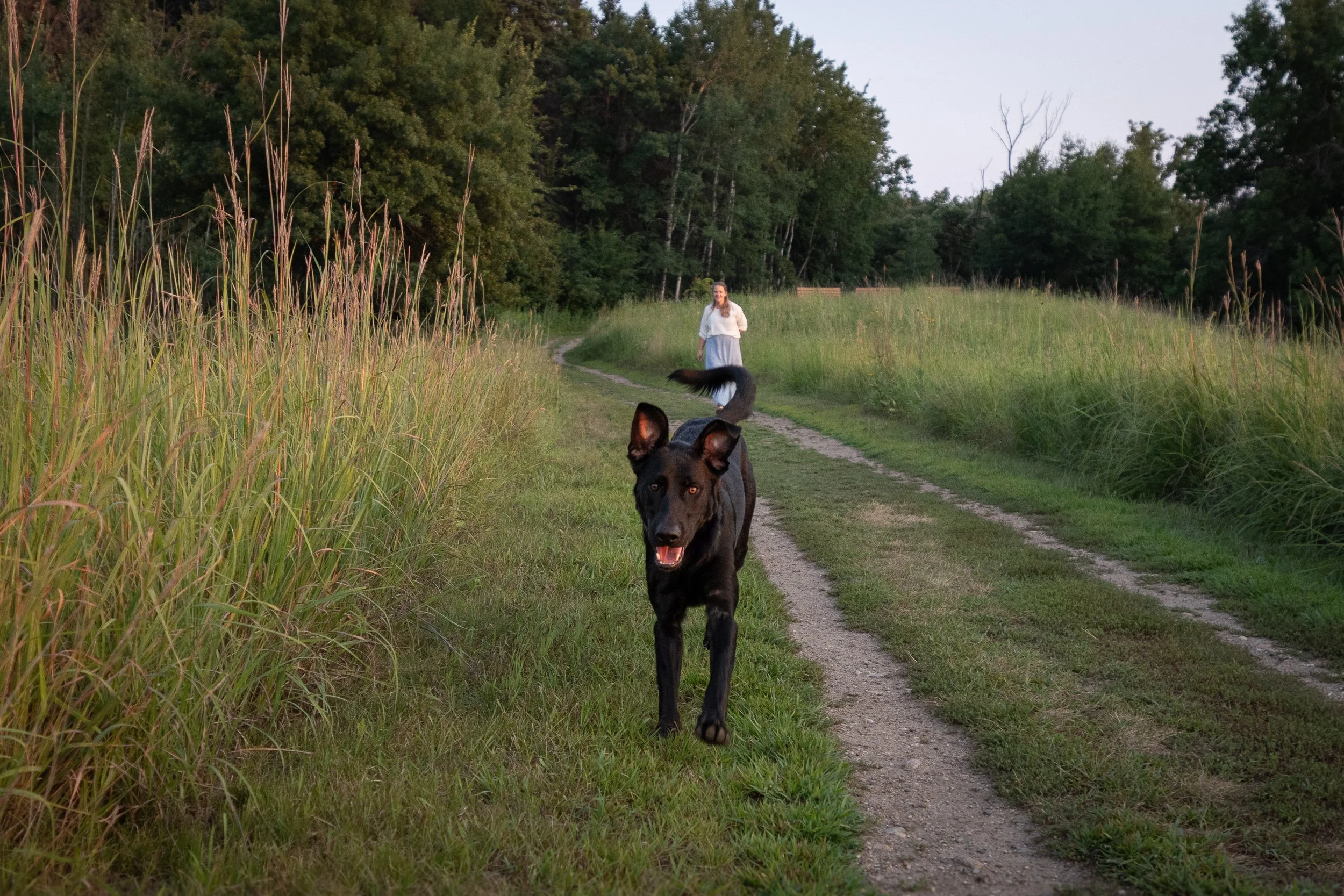 A black dog running on a dirt trail, approaching the camera, with a woman walking in the background in a grassy and wooded area during daylight.