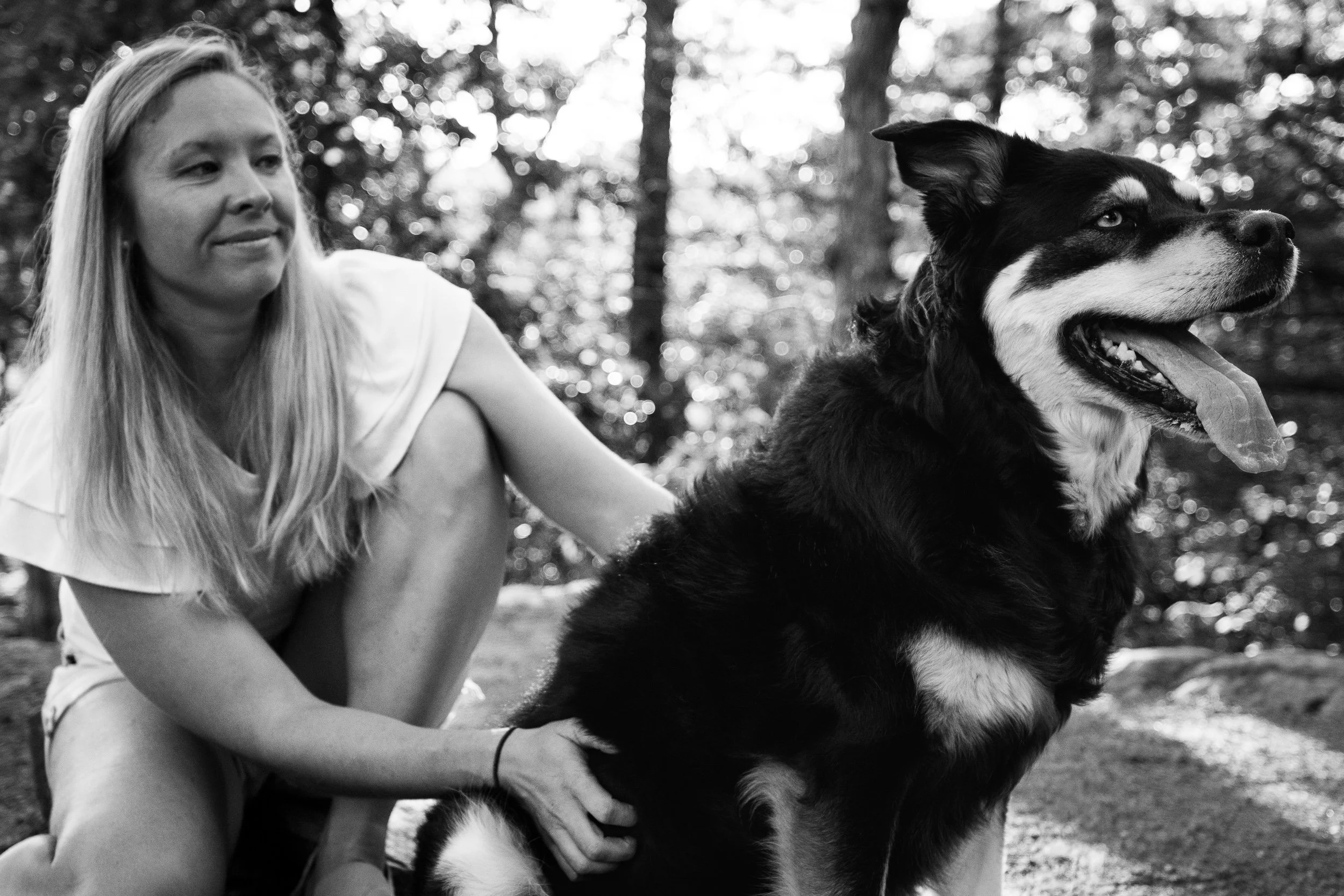 A young woman with long blonde hair smiling at a large black and white dog, possibly a Border Collie, in an outdoor setting with trees and dappled sunlight.