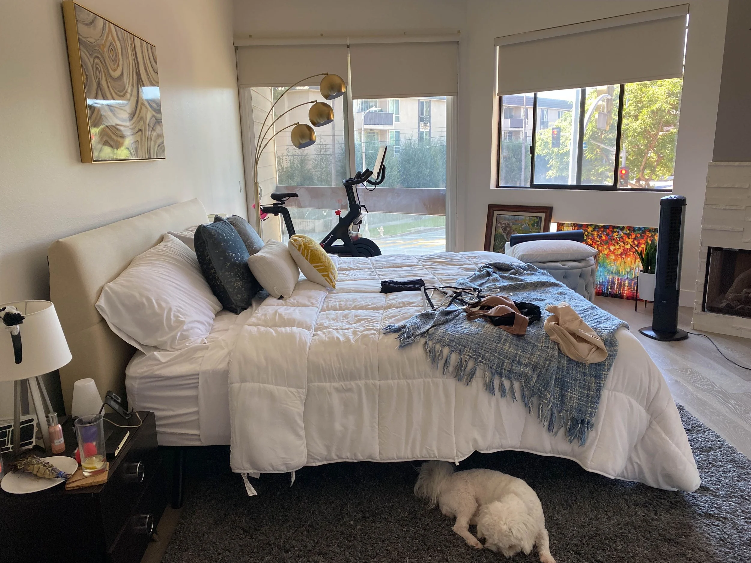 A bedroom with a bed, a small nightstand with items, a white dog lying on a dark rug, a bicycle near the window, artwork leaning against the wall, and a window showing trees and neighboring buildings.